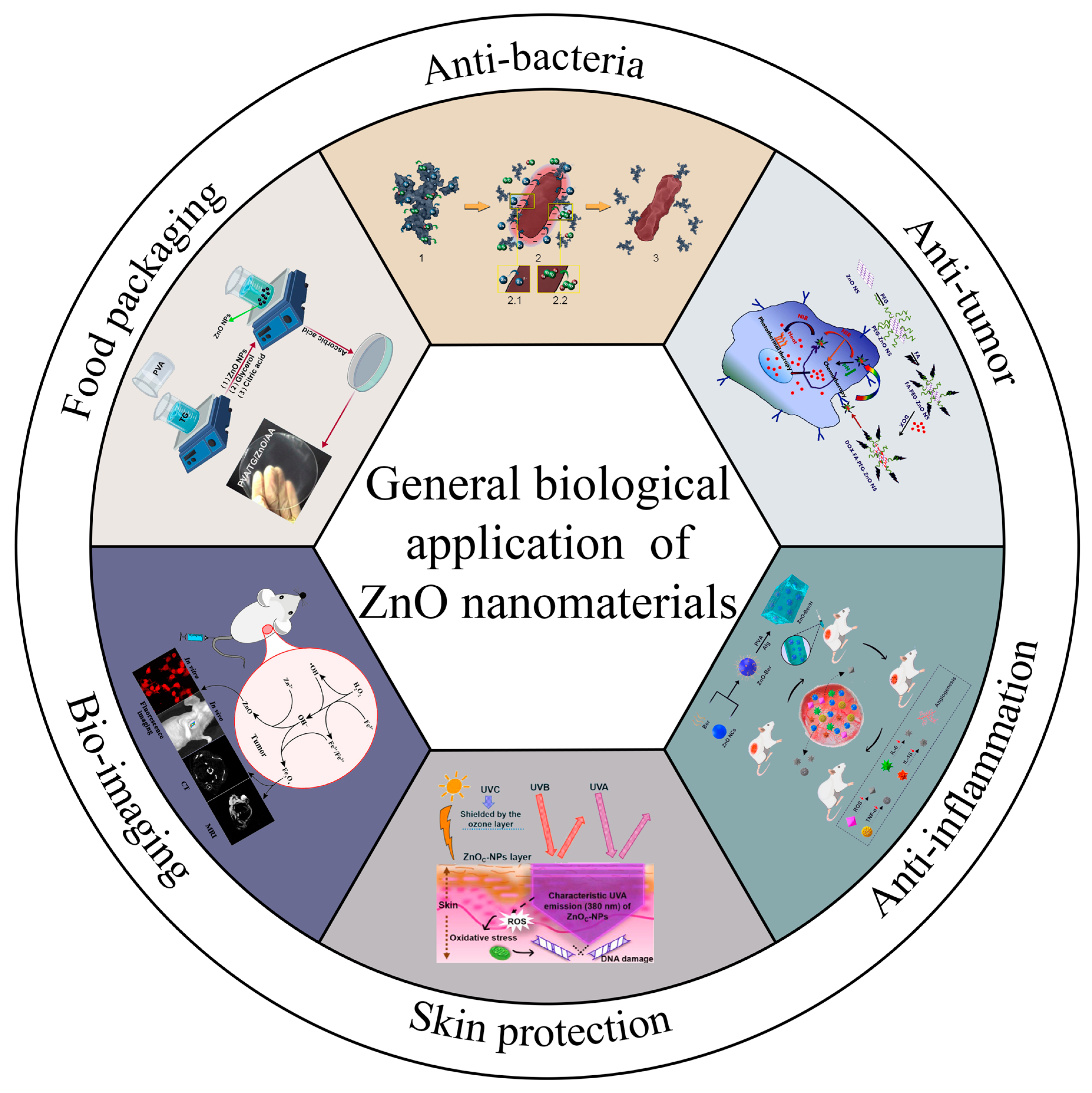 Nanomaterials 13 01500 g001 Nanomaterials 13 01500 g001
