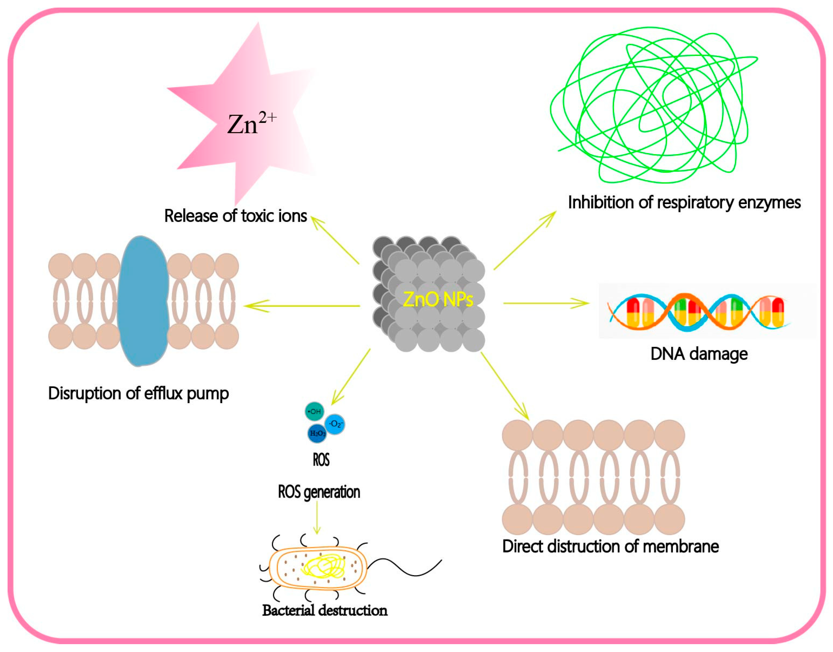 Nanomaterials 13 01500 g003 Nanomaterials 13 01500 g003