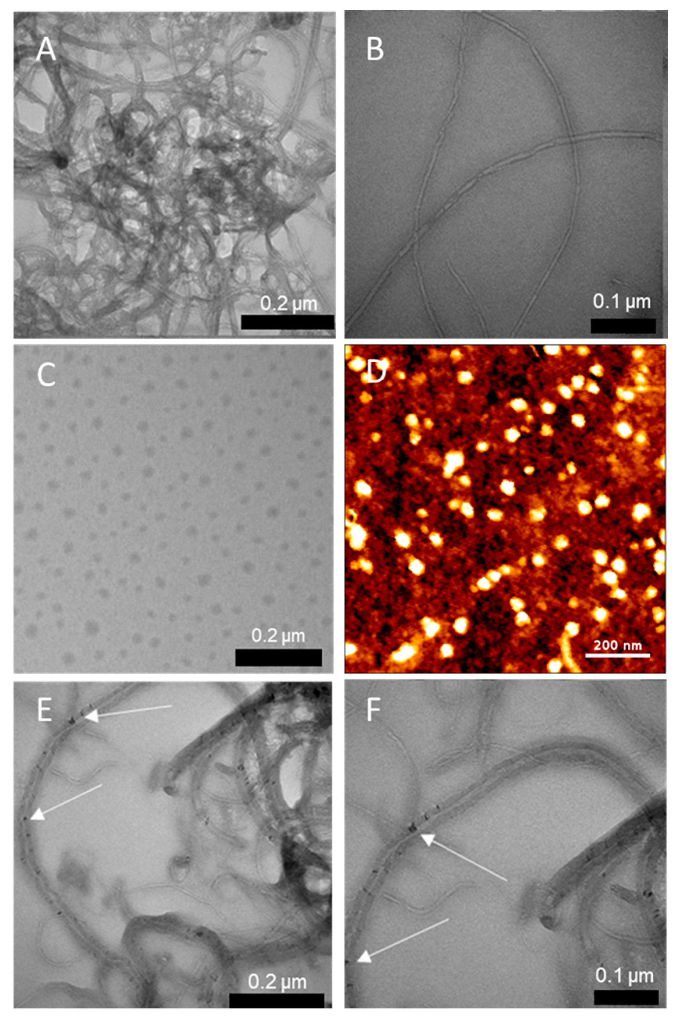 Nanomaterials 13 01509 g001