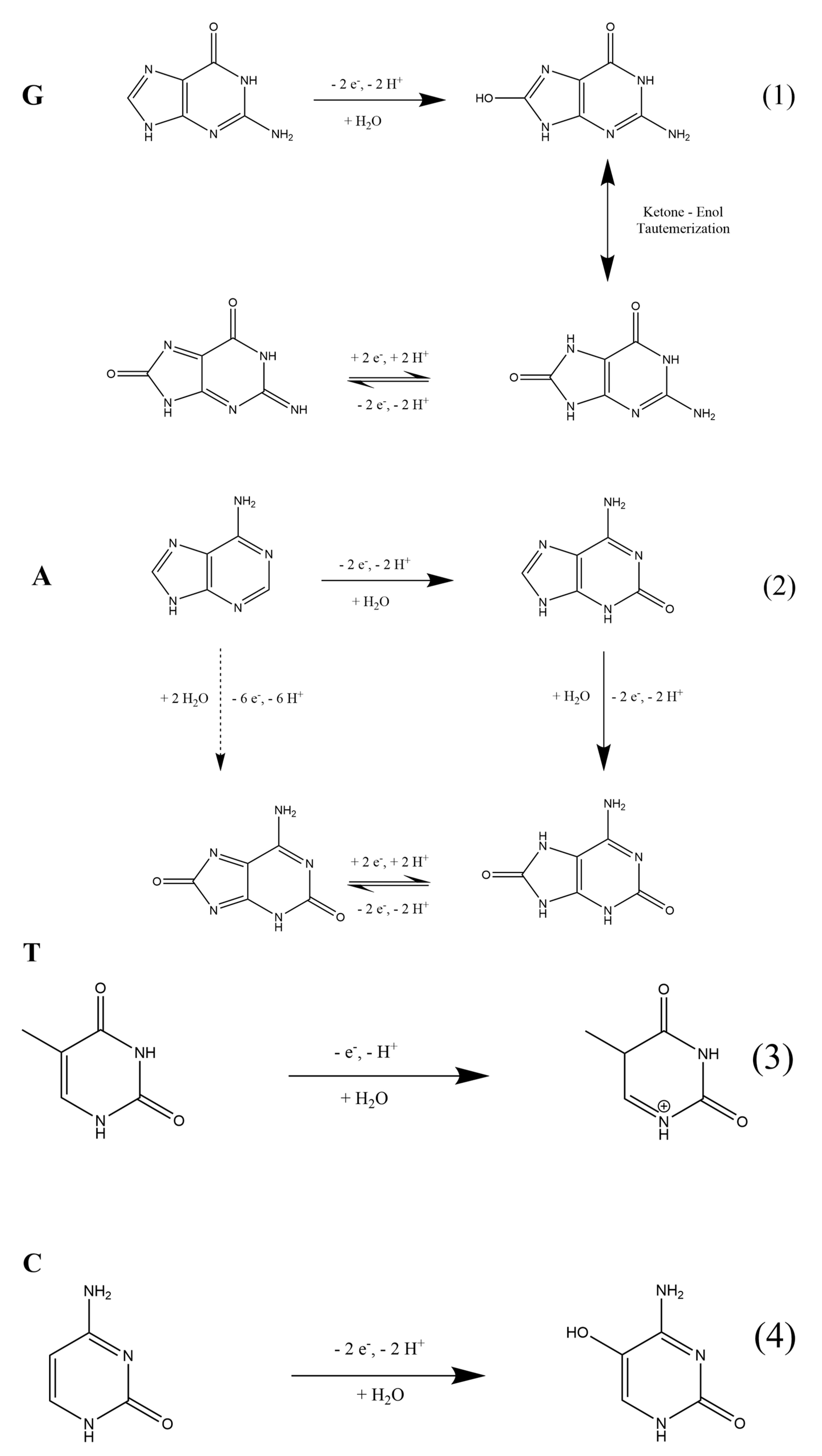 Nanomaterials 13 01509 sch002