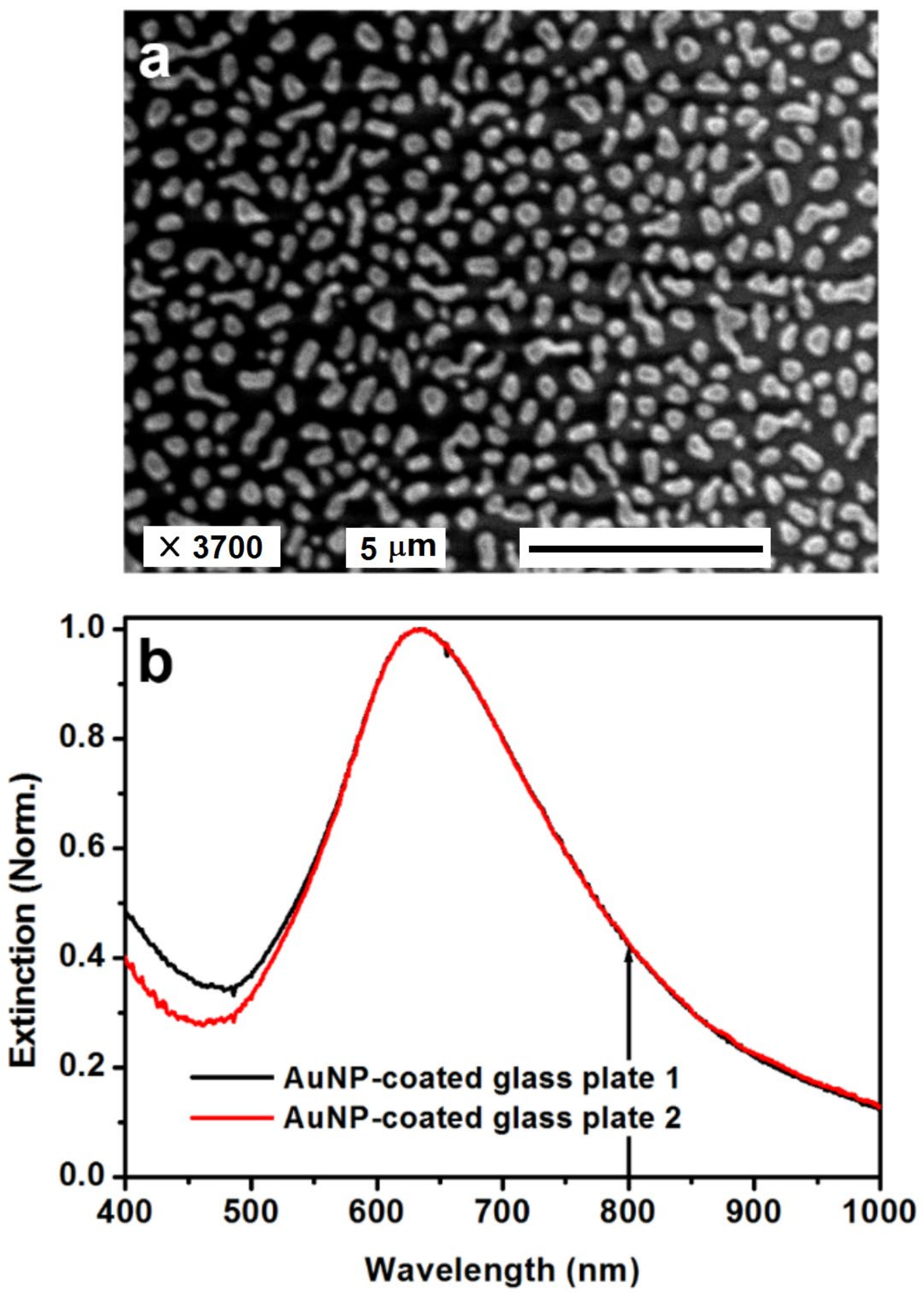 Nanomaterials 13 01513 g003 Nanomaterials 13 01513 g003
