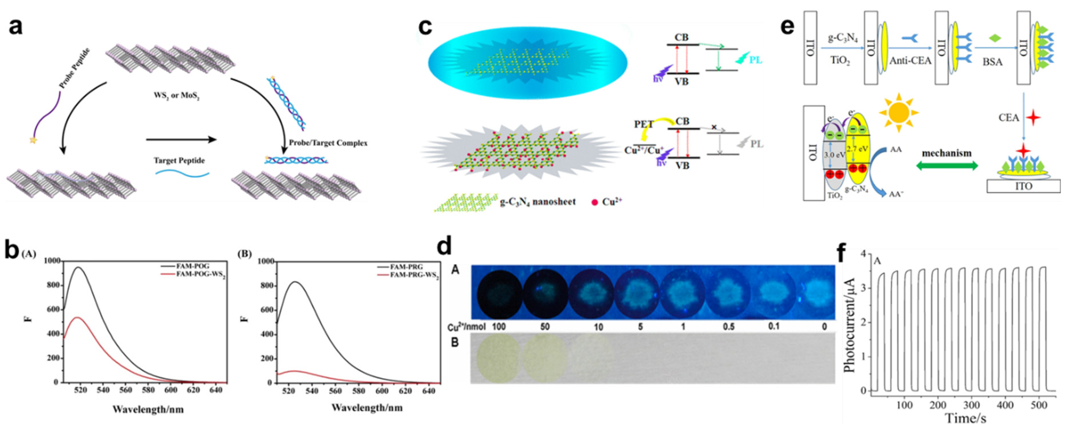 Nanomaterials 13 01520 g004
