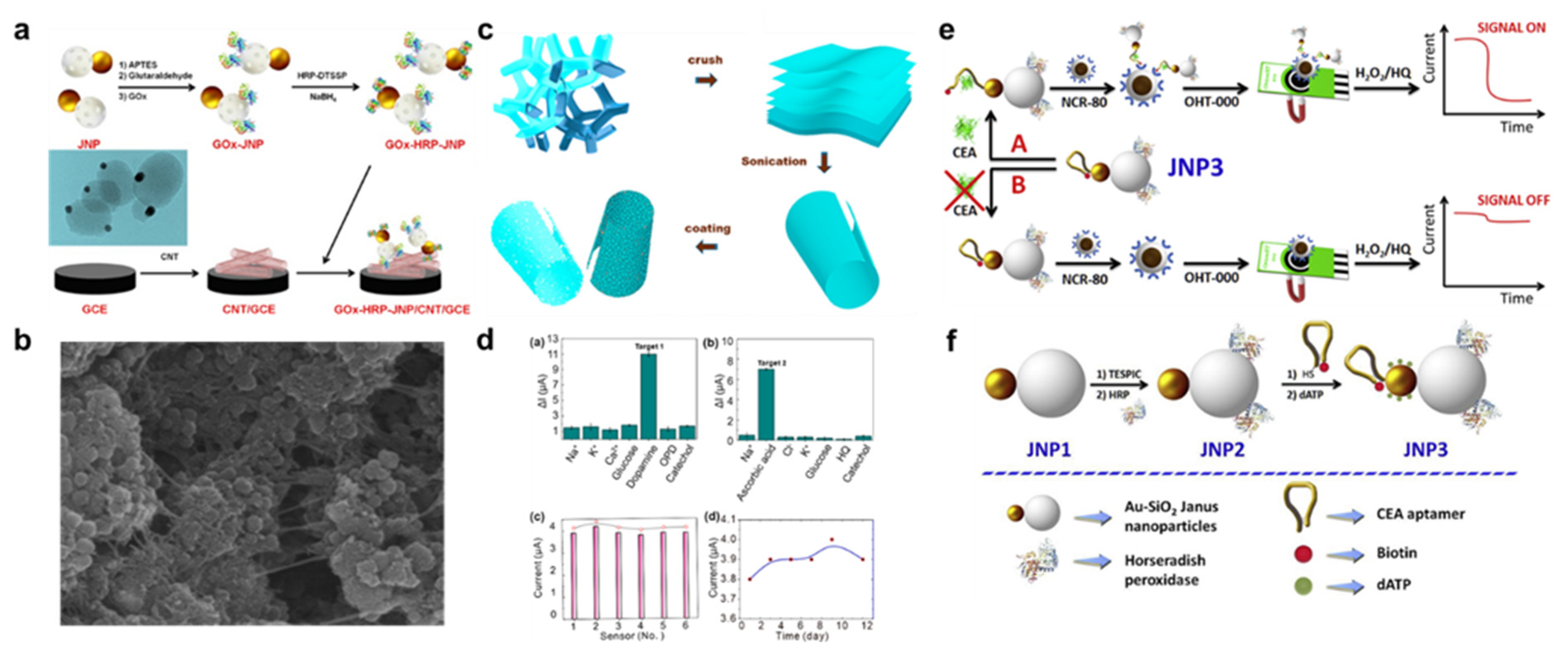 Nanomaterials 13 01520 g007