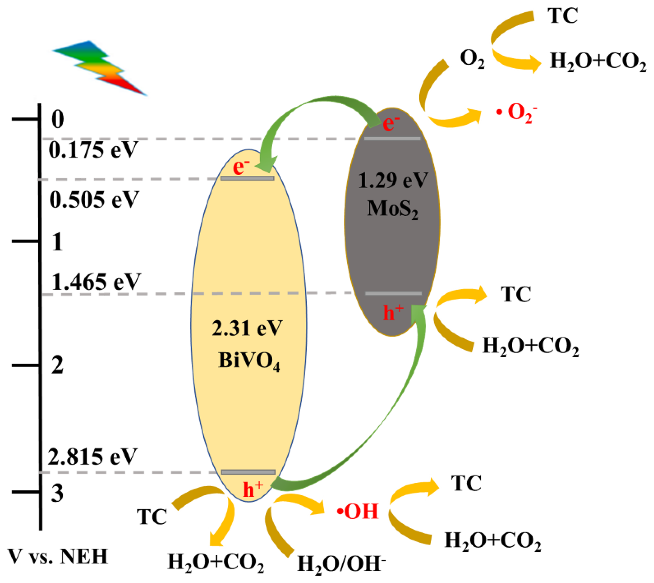 Nanomaterials 13 01522 g011