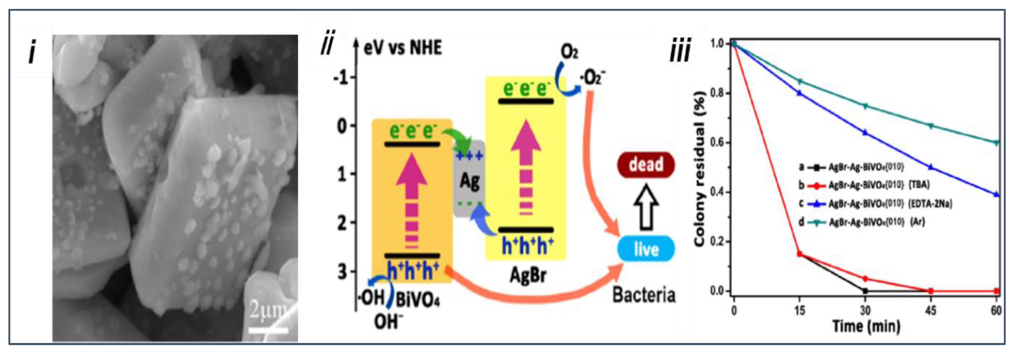 Nanomaterials 13 01528 g018 Nanomaterials 13 01528 g018