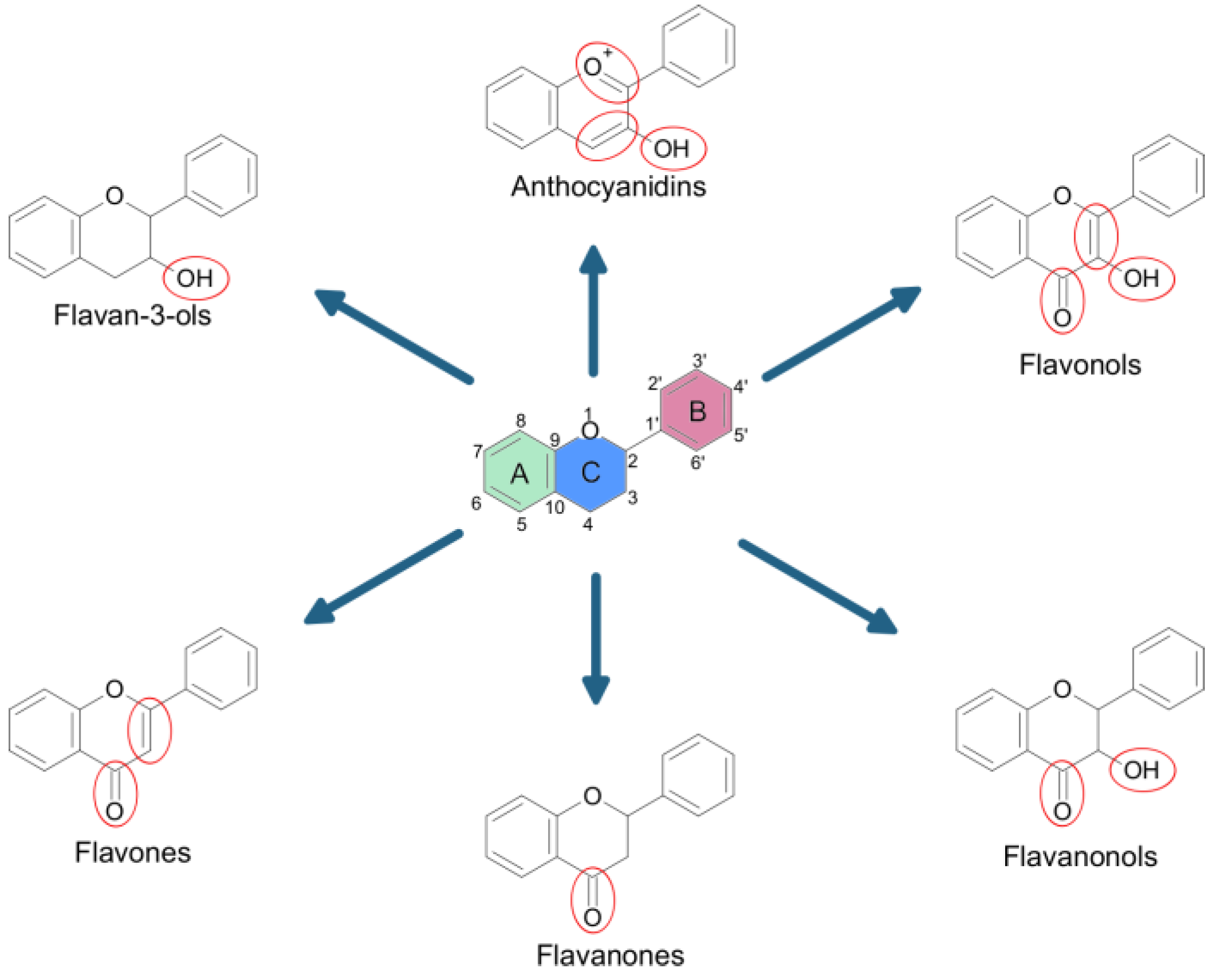 Nanomaterials 13 01531 g002