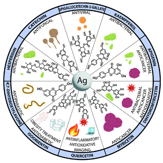 Nanomaterials Free FullText Metal NanoparticleFlavonoid