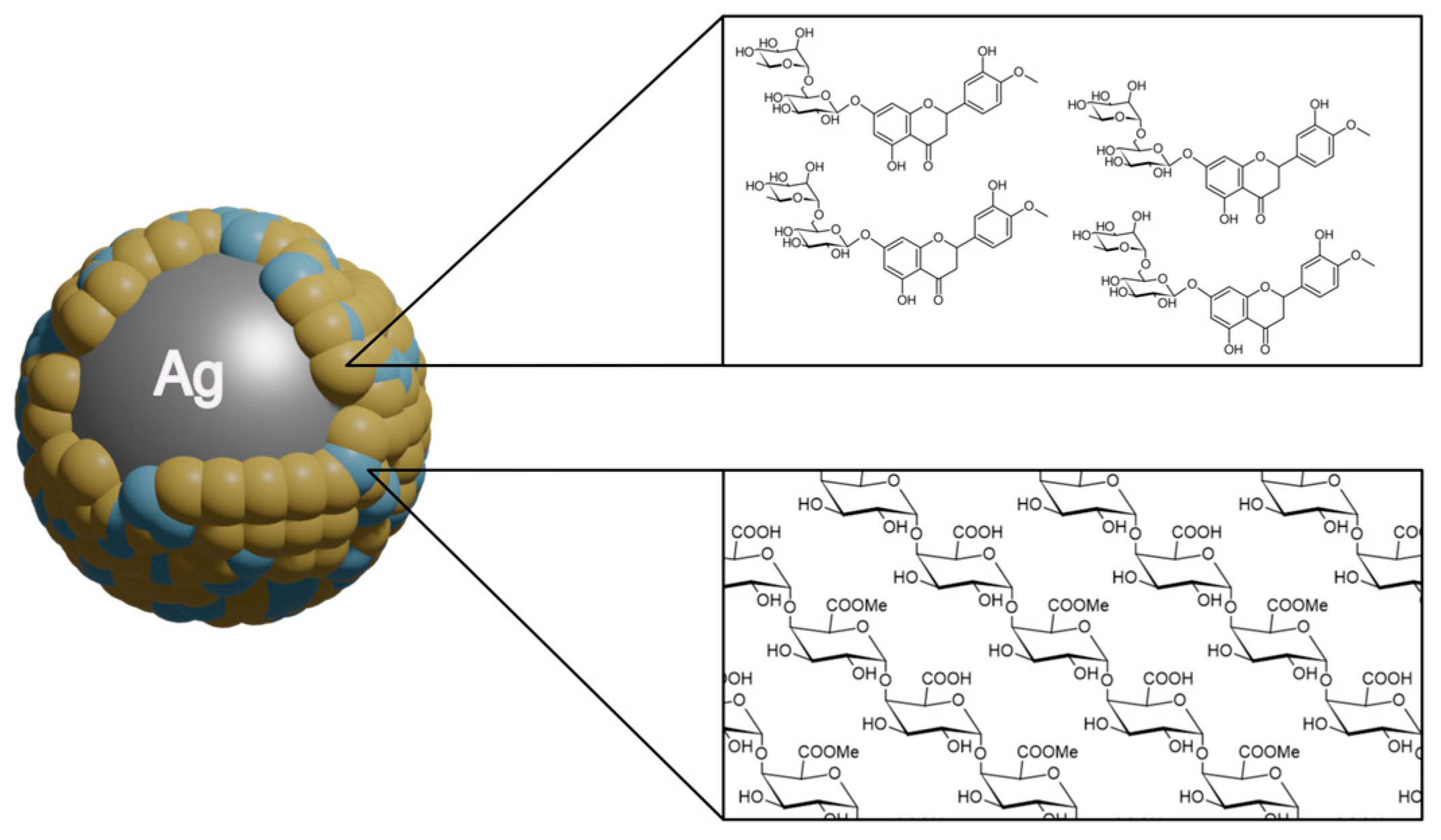 Nanomaterials 13 01531 g004
