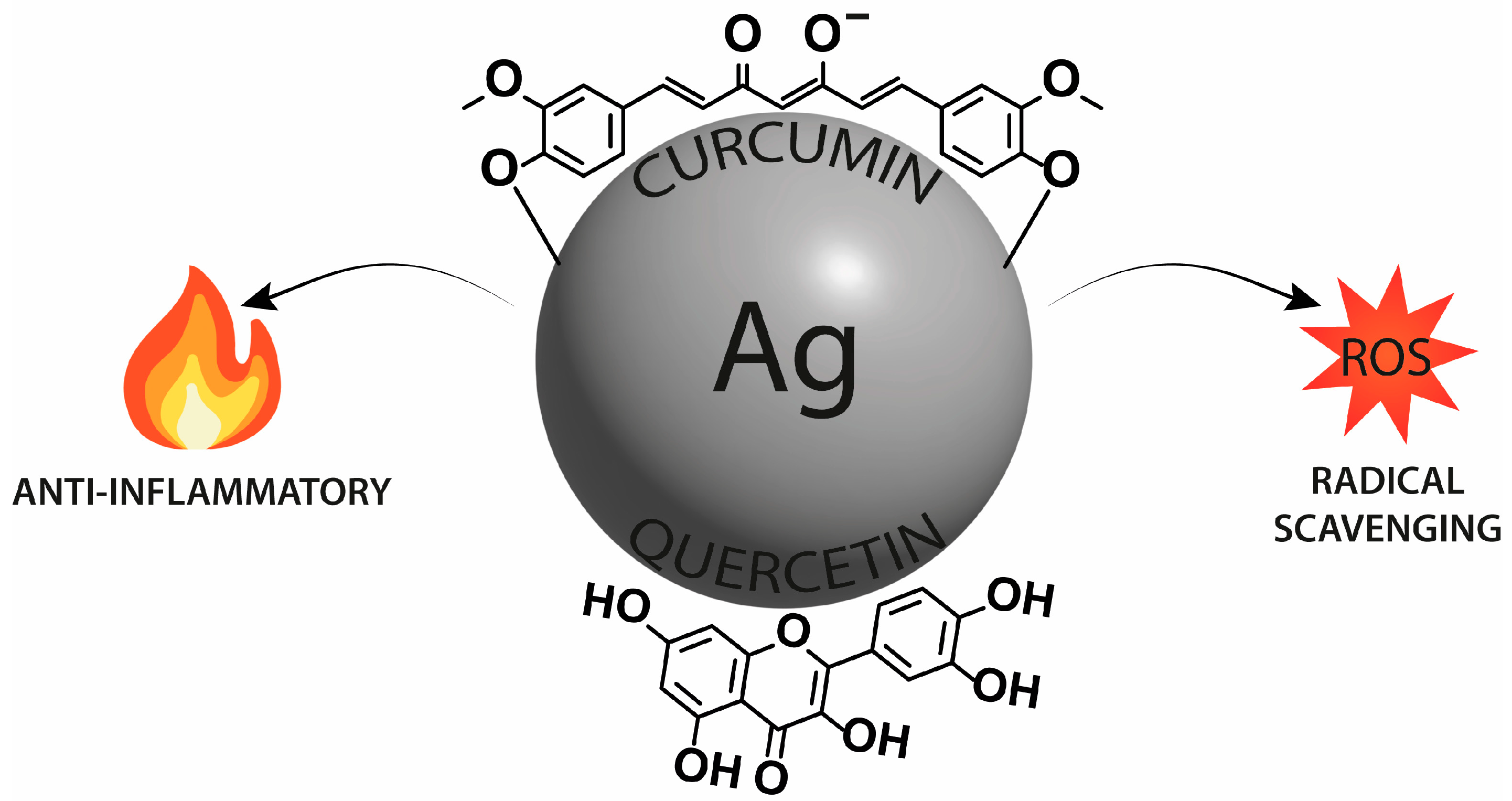 Nanomaterials 13 01531 g005