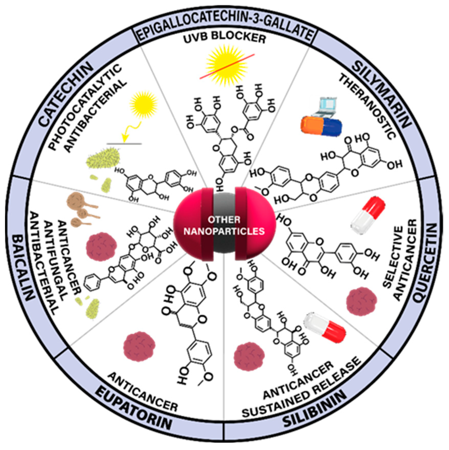 Nanomaterials 13 01531 g009