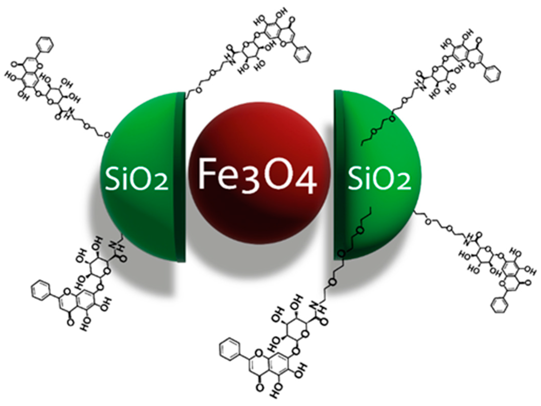 Nanomaterials 13 01531 g012
