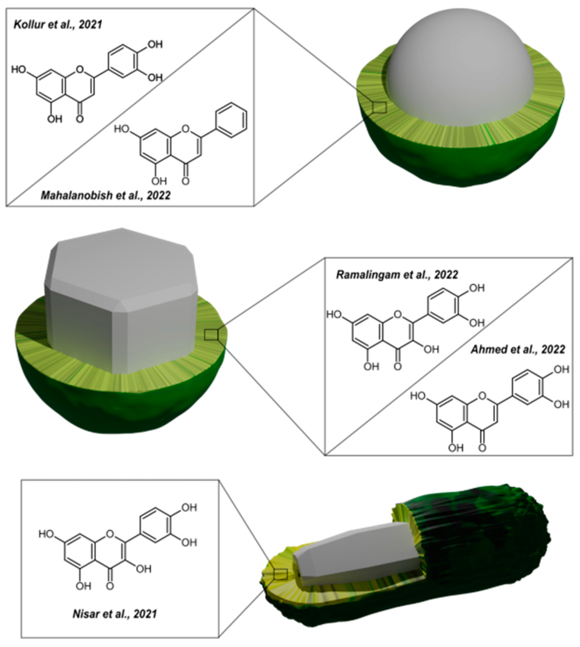 Nanomaterials 13 01531 g013