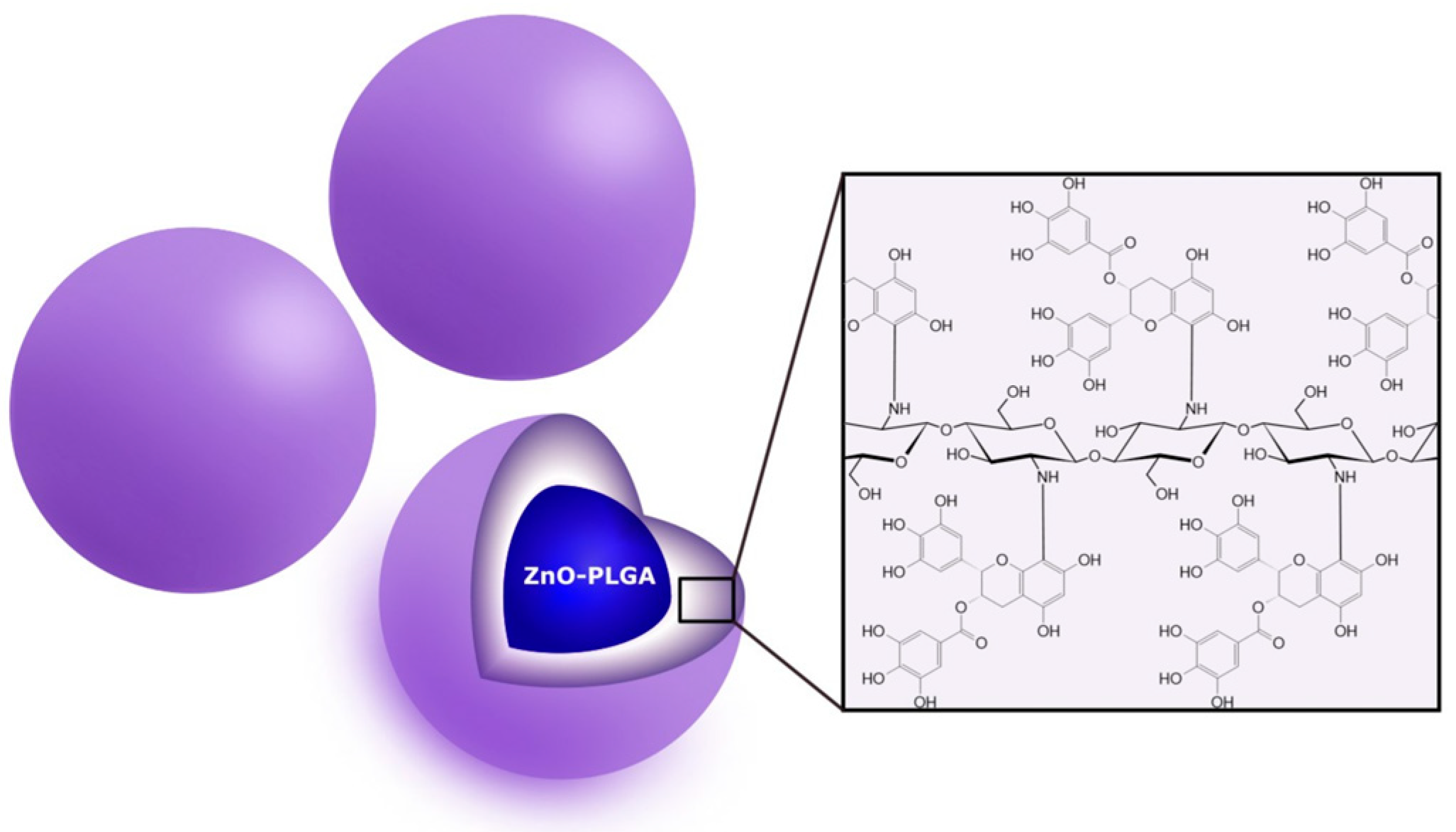 Nanomaterials 13 01531 g014