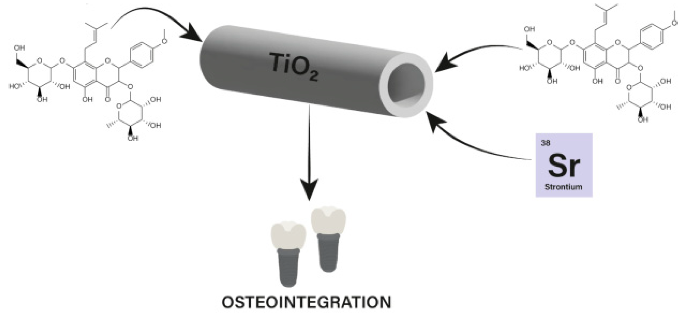 Nanomaterials 13 01531 g015