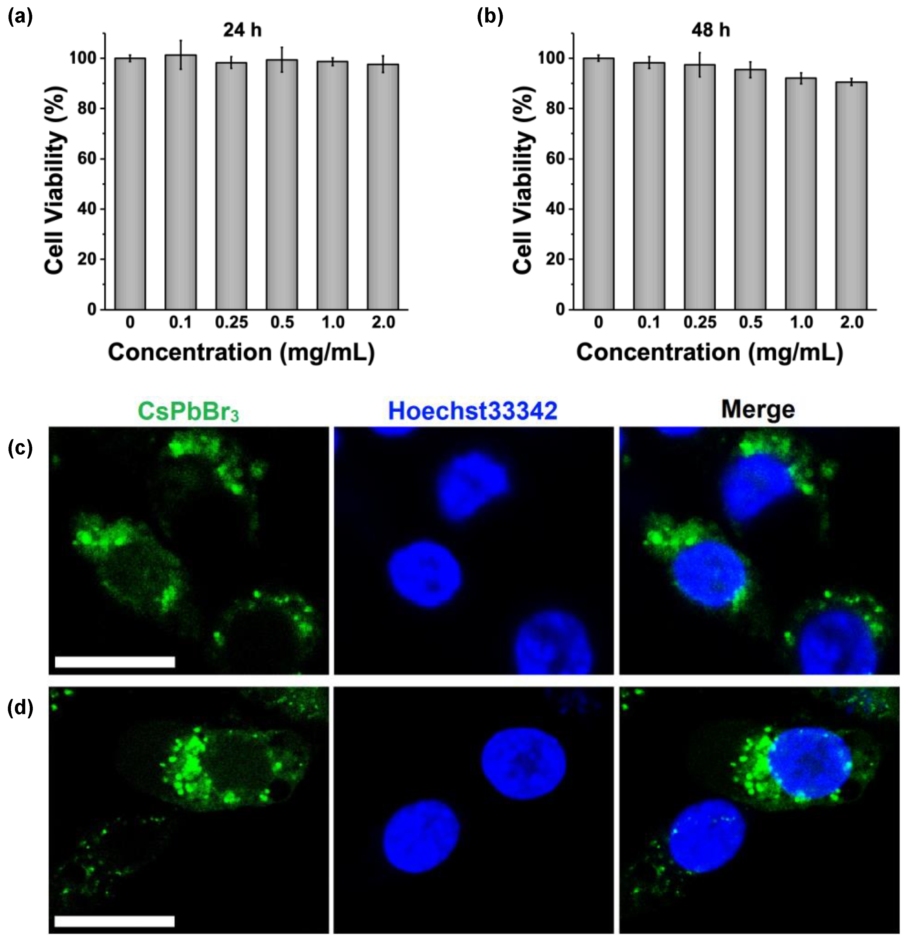 Nanomaterials 13 01540 g004