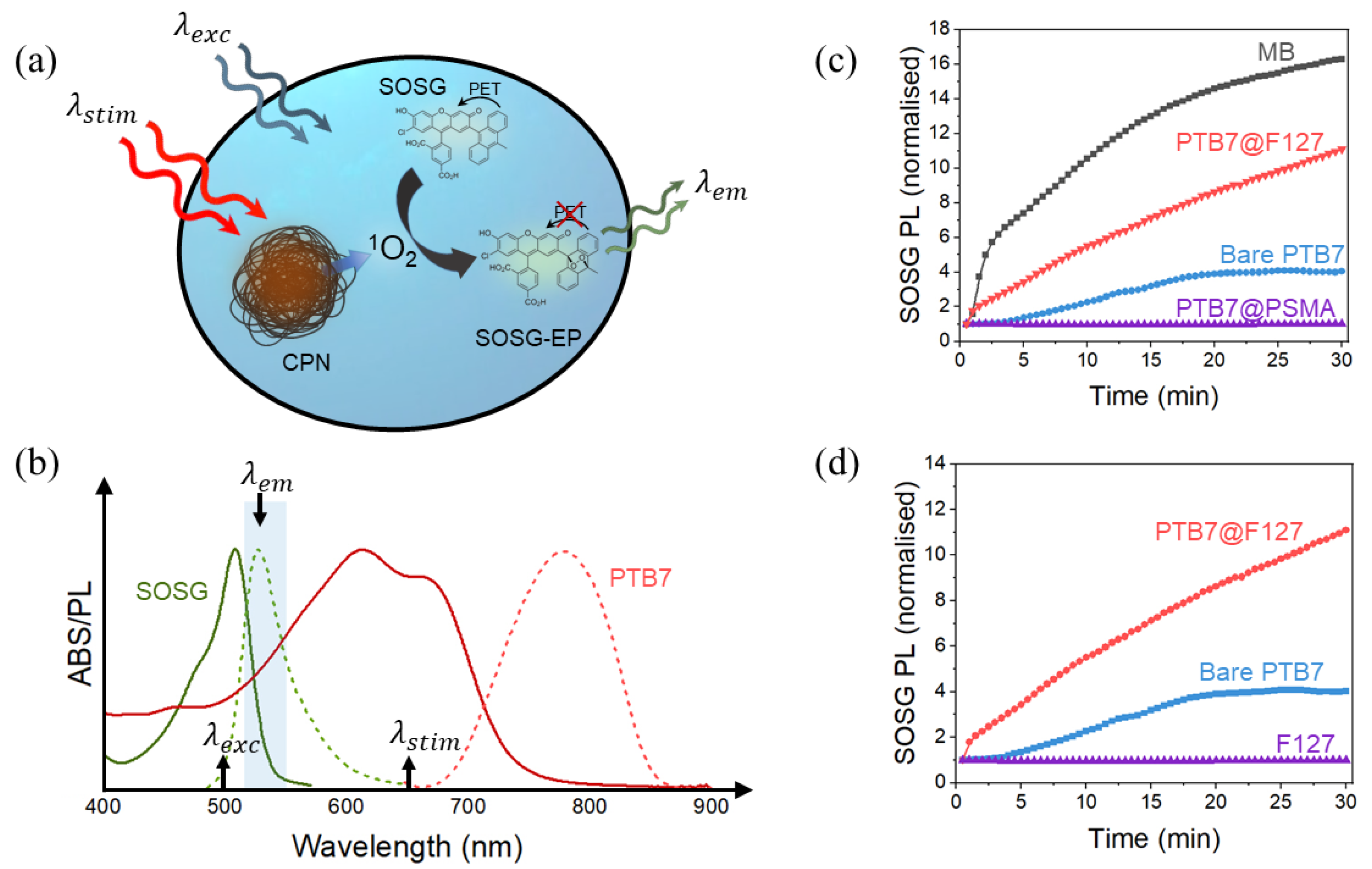 Nanomaterials 13 01543 g007 Nanomaterials 13 01543 g007