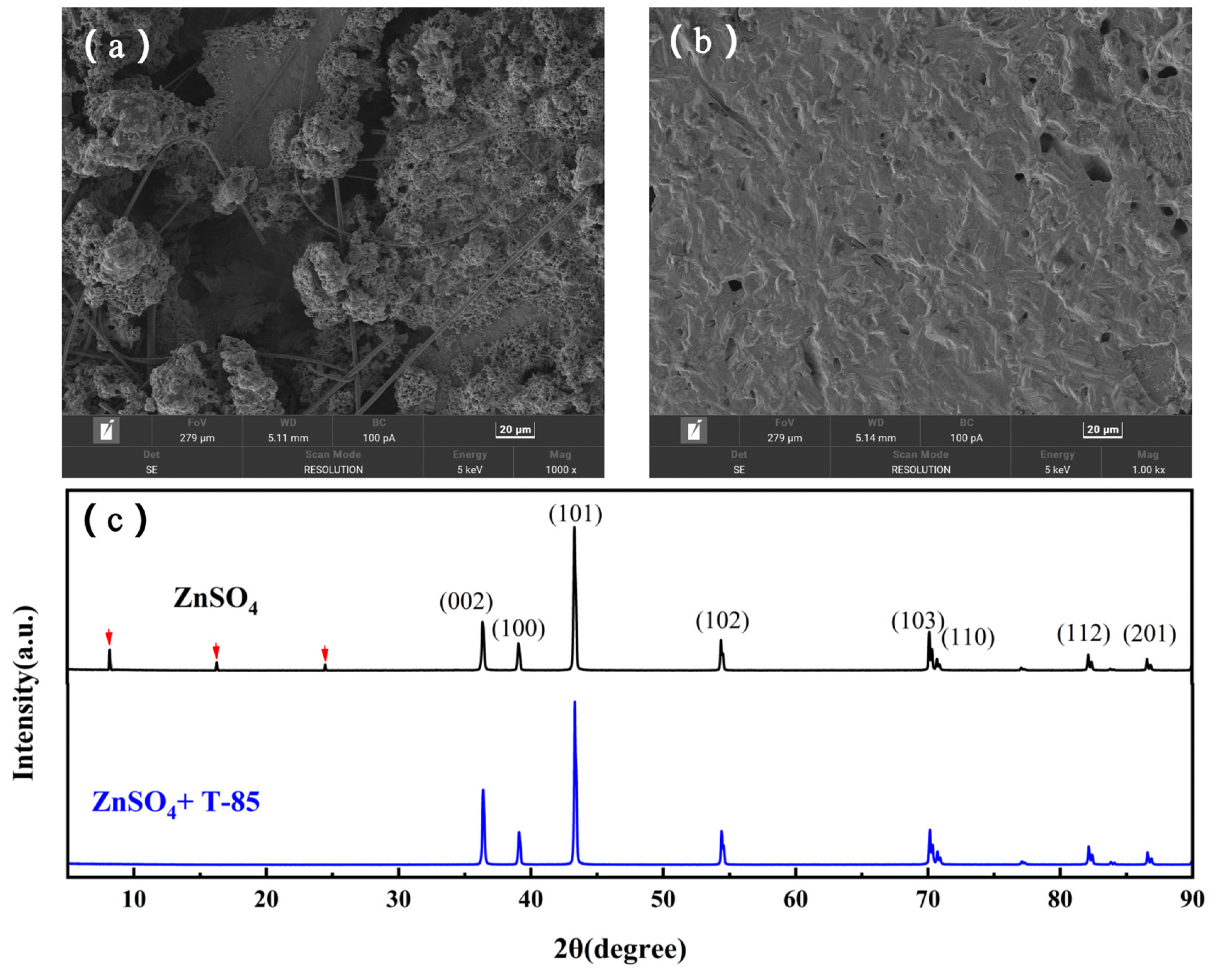 Nanomaterials 13 01547 g008