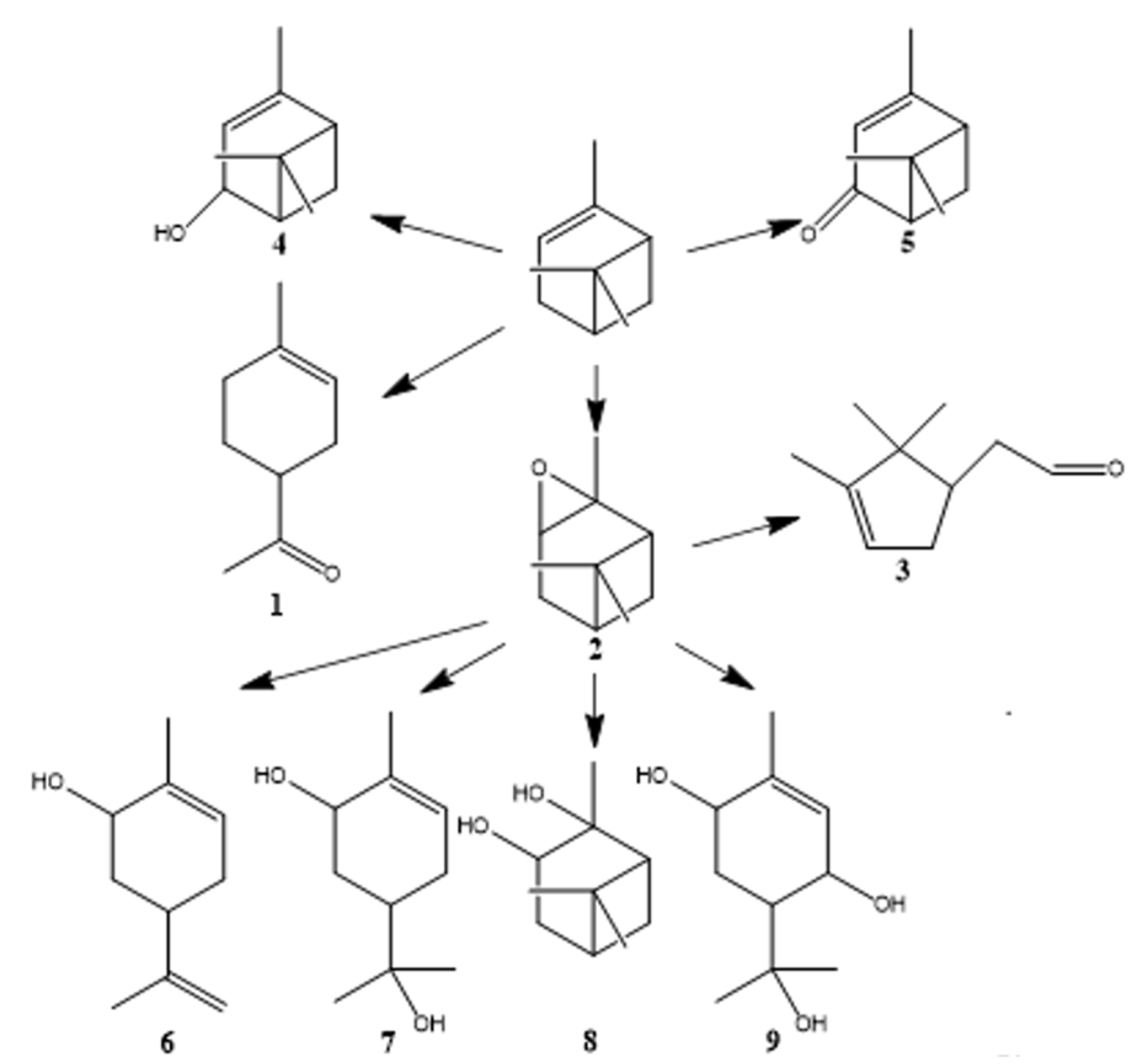 Nanomaterials 13 01554 g005