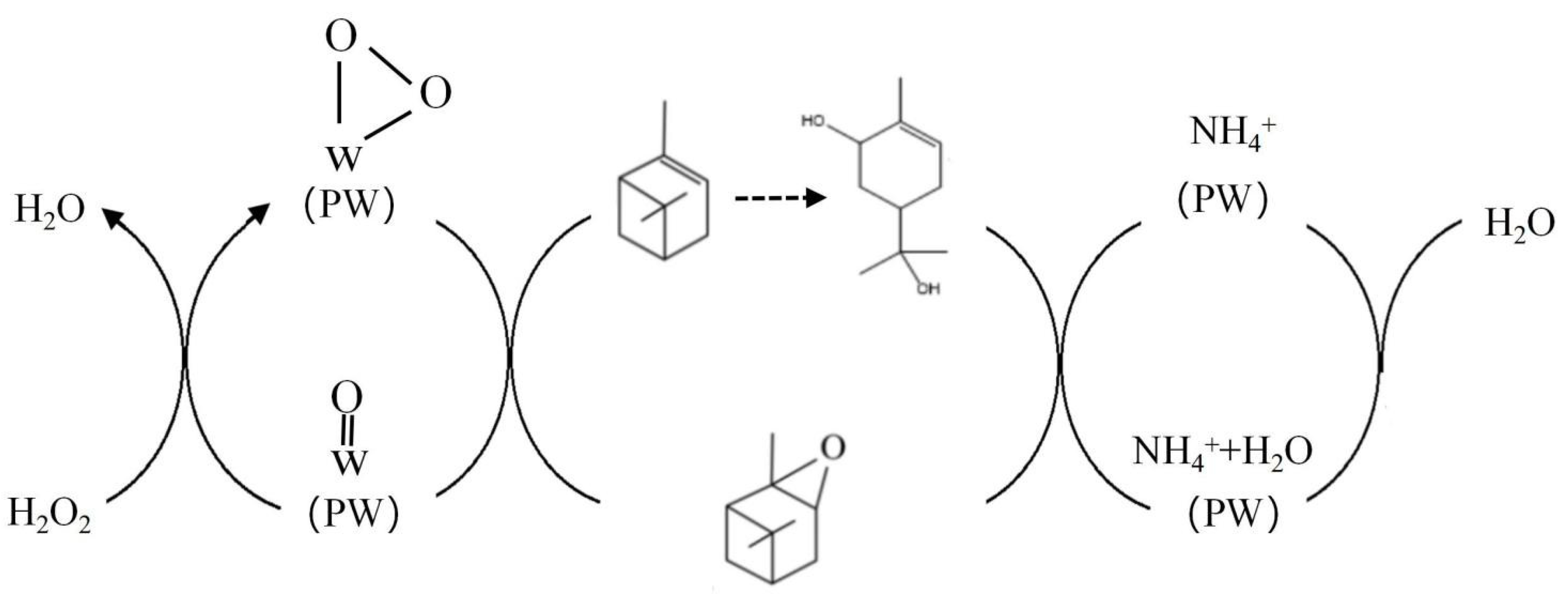 Nanomaterials 13 01554 g009