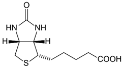 Nanomaterials 13 01557 i007