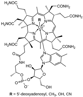 Nanomaterials 13 01557 i009