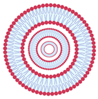 Nanomaterials 13 01557 i020