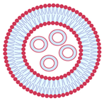 Nanomaterials 13 01557 i021