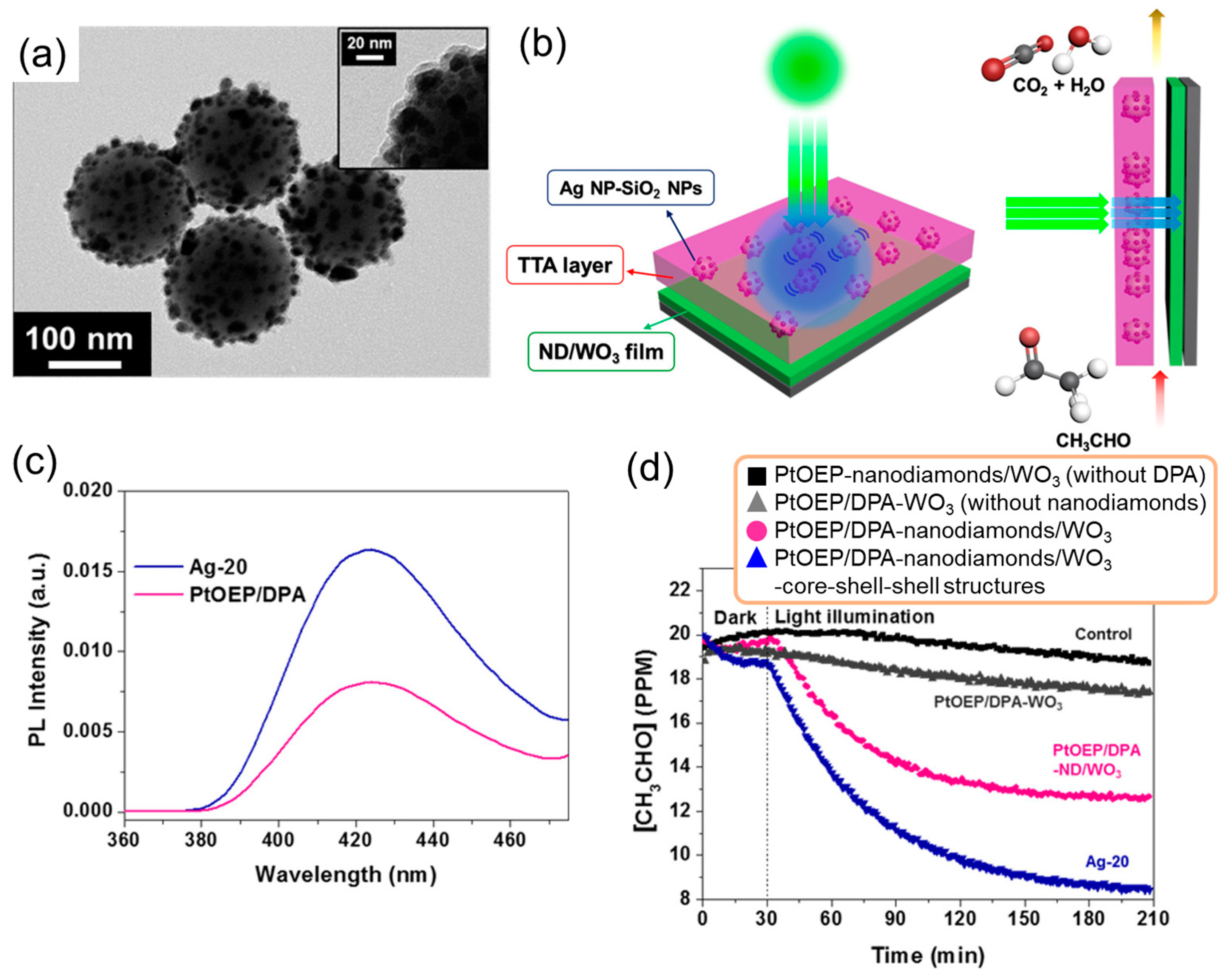 Nanomaterials 13 01559 g013 Nanomaterials 13 01559 g013