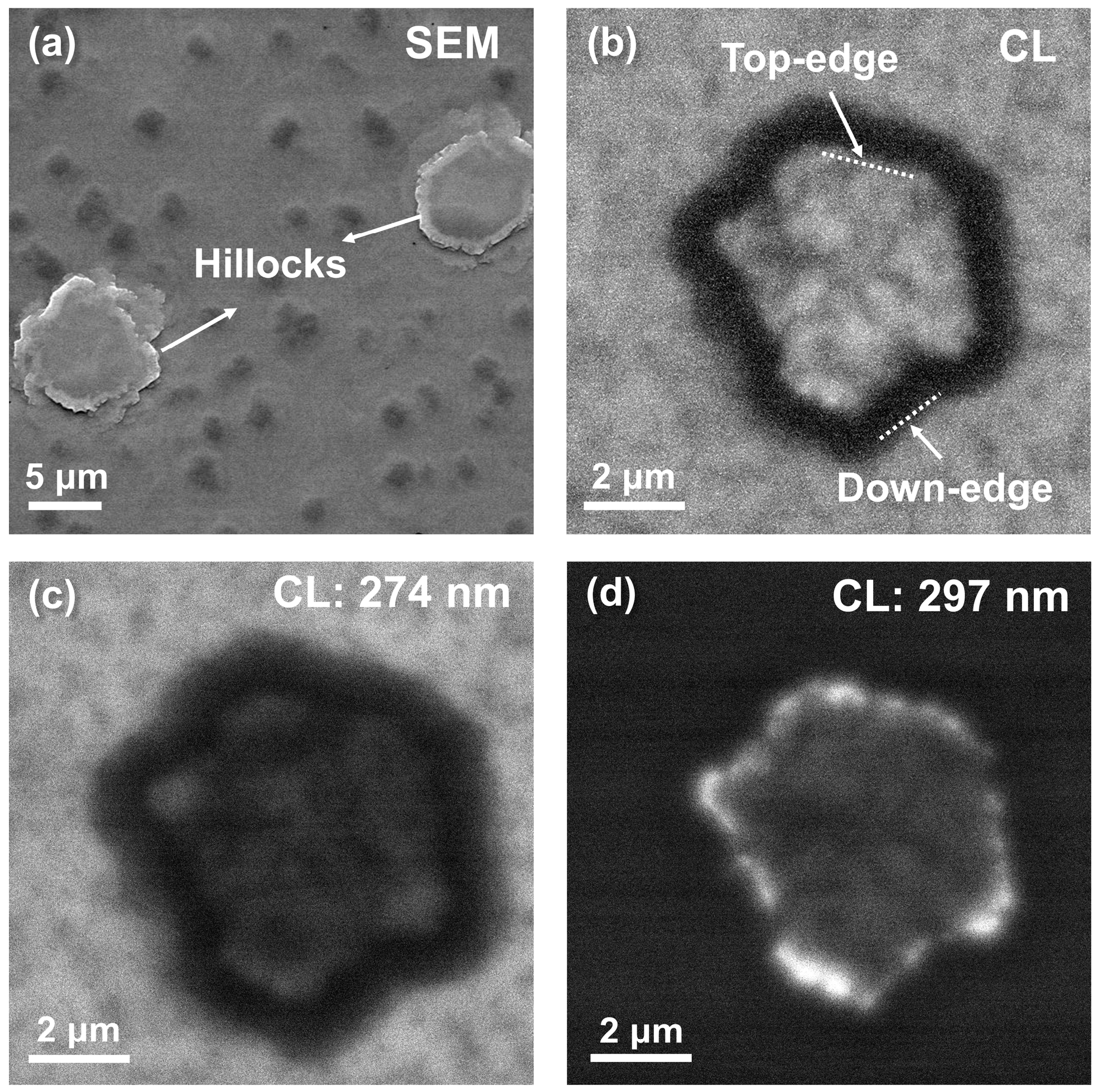 Nanomaterials 13 01562 g002 Nanomaterials 13 01562 g002