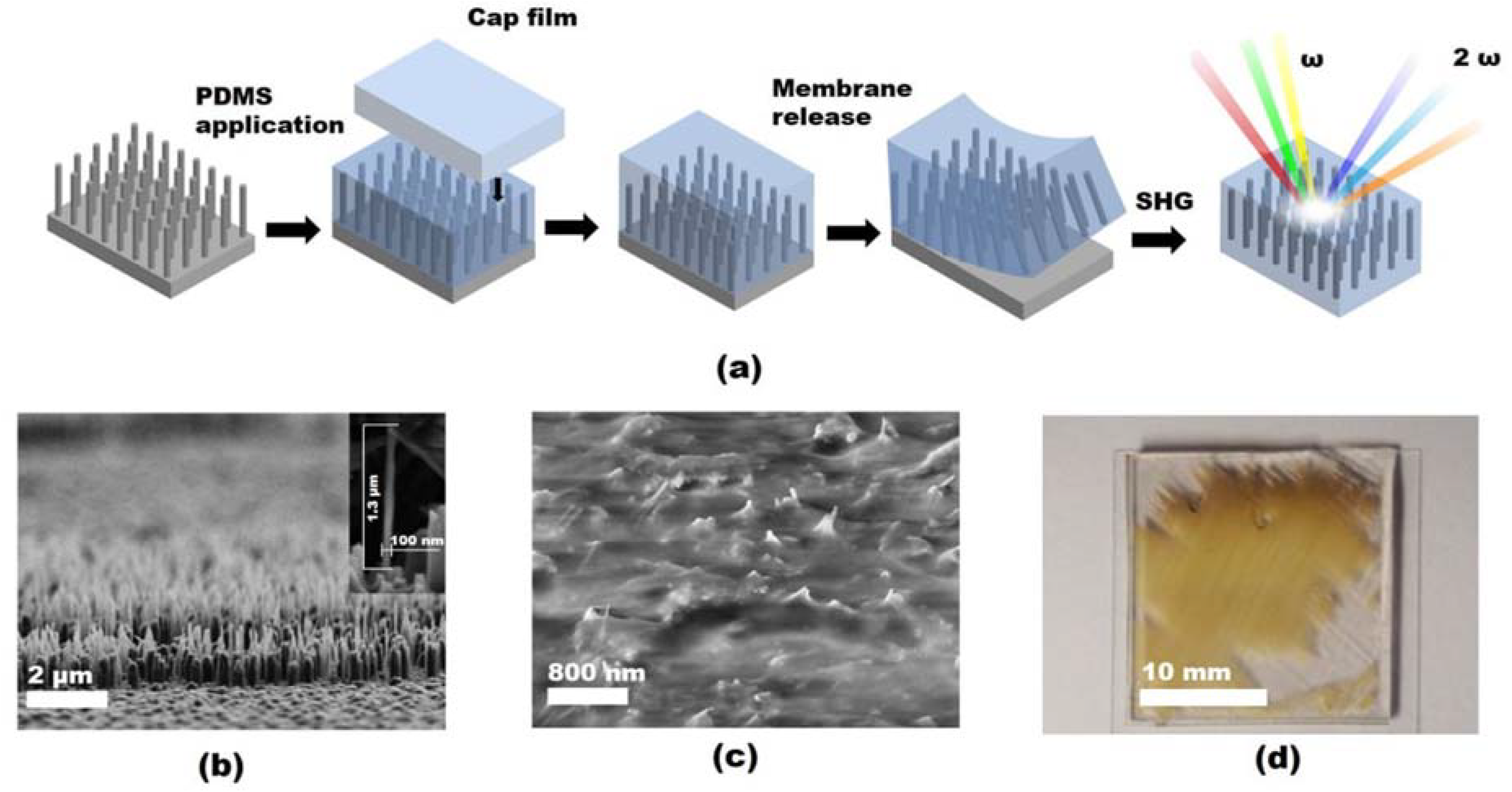 Nanomaterials 13 01563 g001 Nanomaterials 13 01563 g001