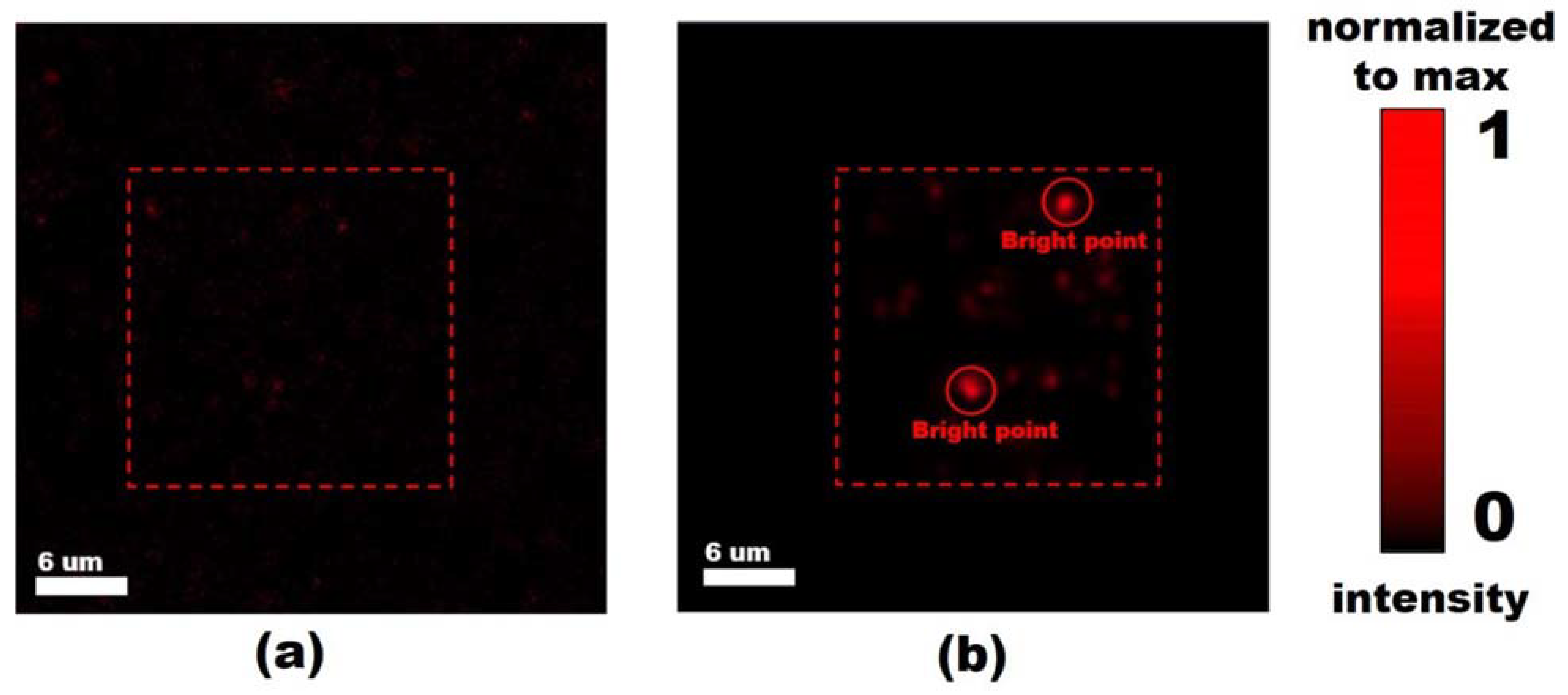 Nanomaterials 13 01563 g004 Nanomaterials 13 01563 g004