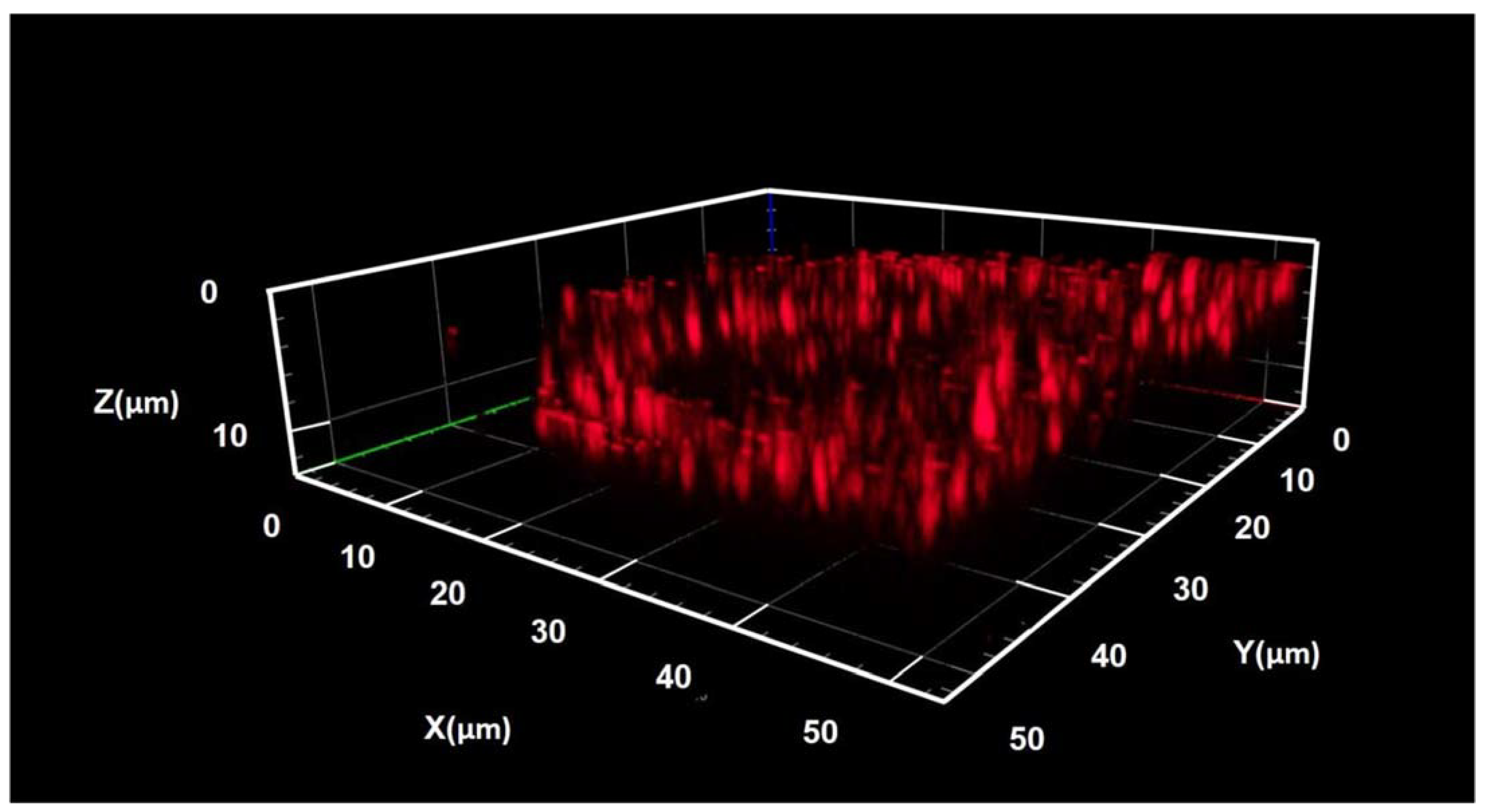 Nanomaterials 13 01563 g005 Nanomaterials 13 01563 g005
