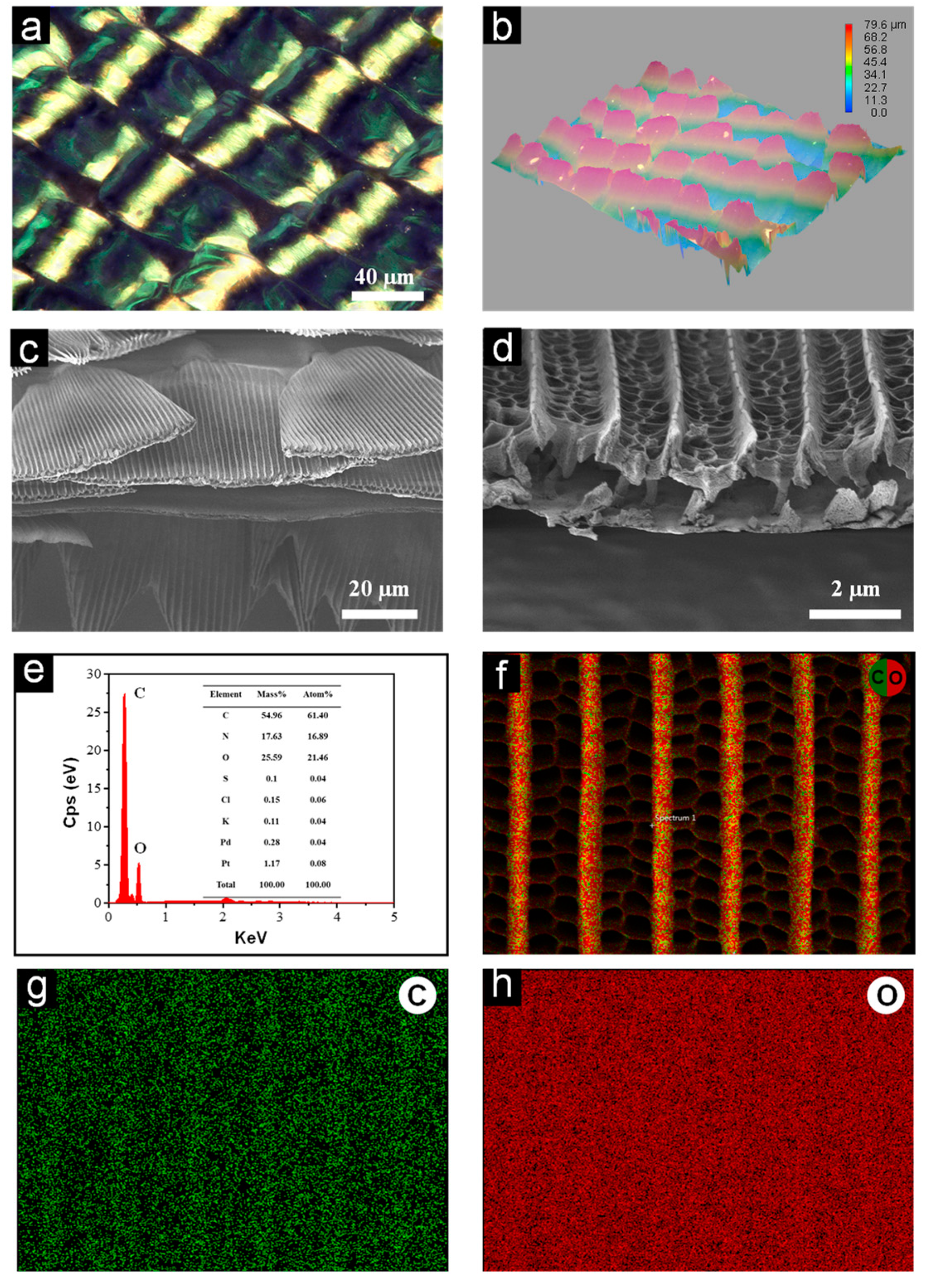 Nanomaterials 13 01570 g002 Nanomaterials 13 01570 g002