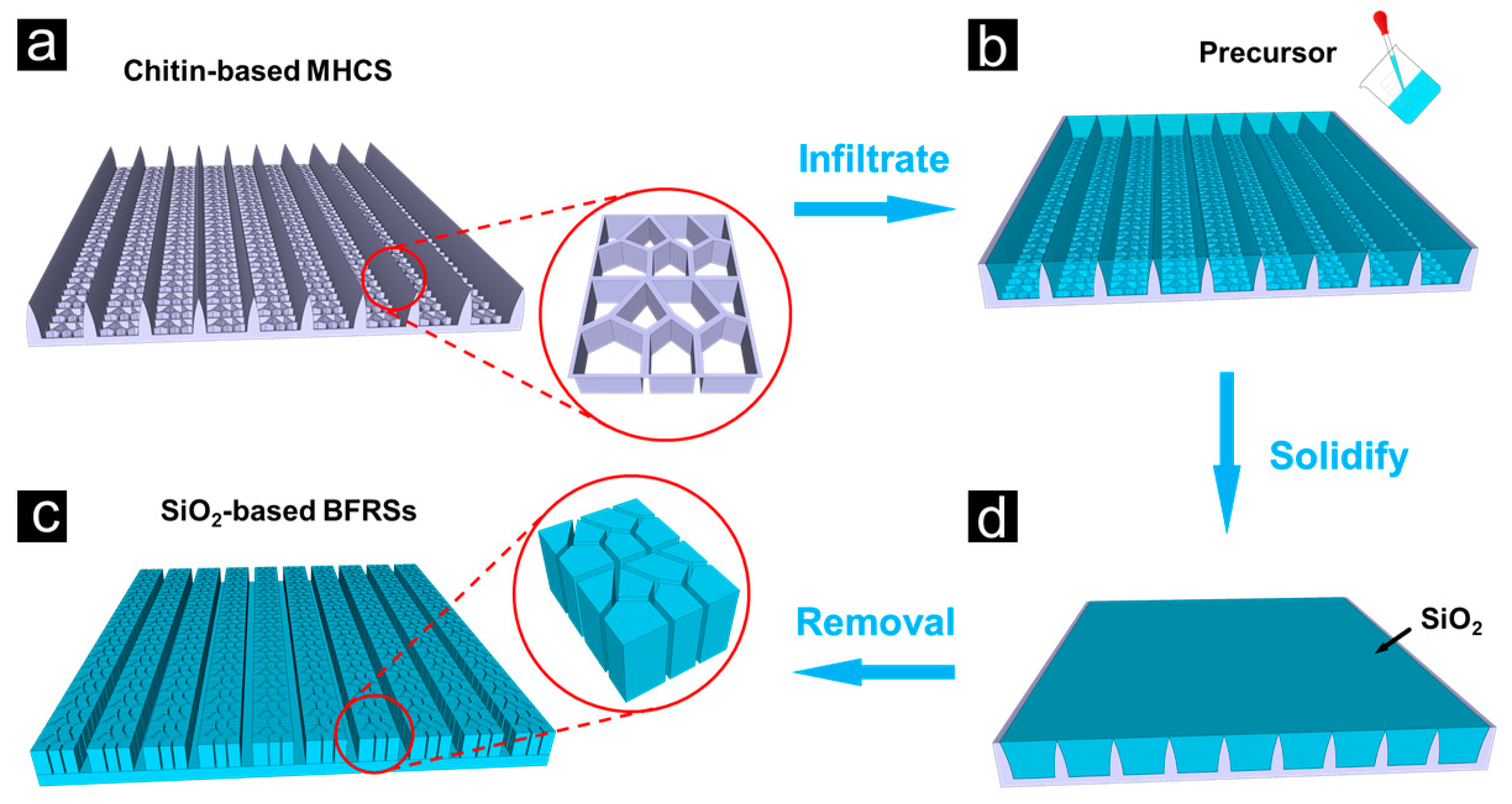 Nanomaterials 13 01570 g003 Nanomaterials 13 01570 g003