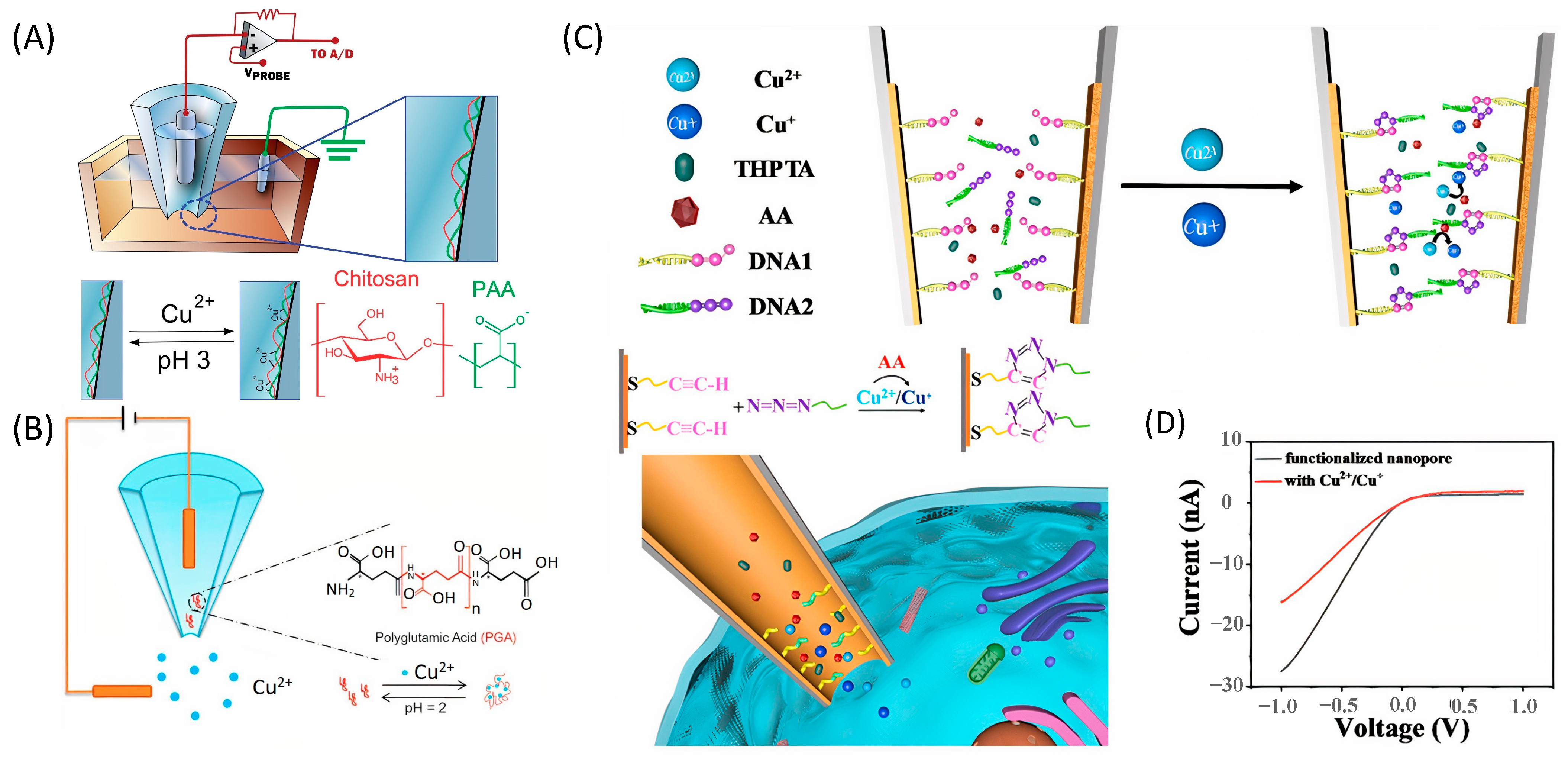 Nanomaterials 13 01573 g004