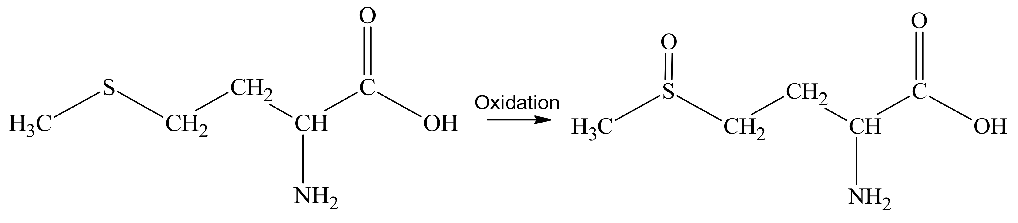 Nanomaterials 13 01577 g003