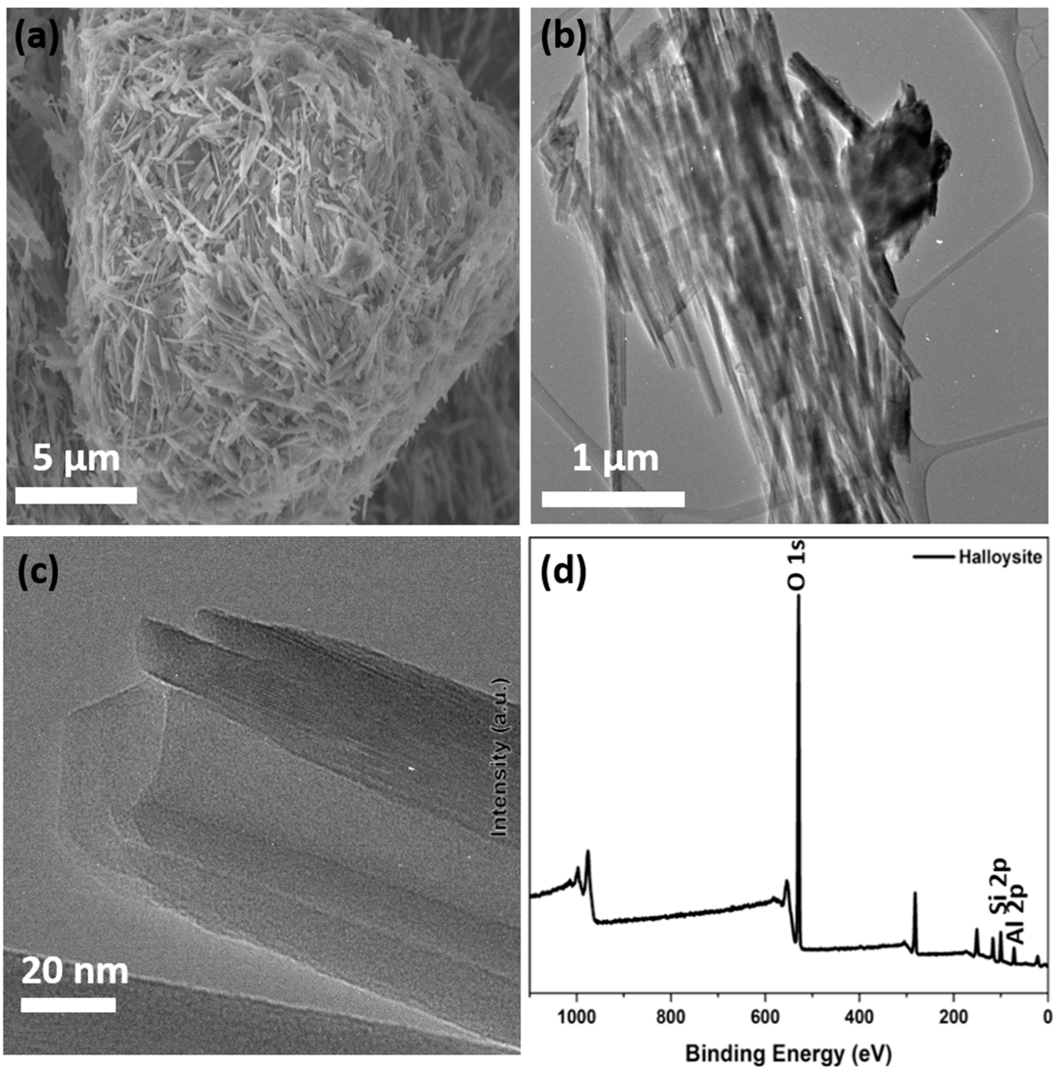 Nanomaterials 13 01578 g005 Nanomaterials 13 01578 g005
