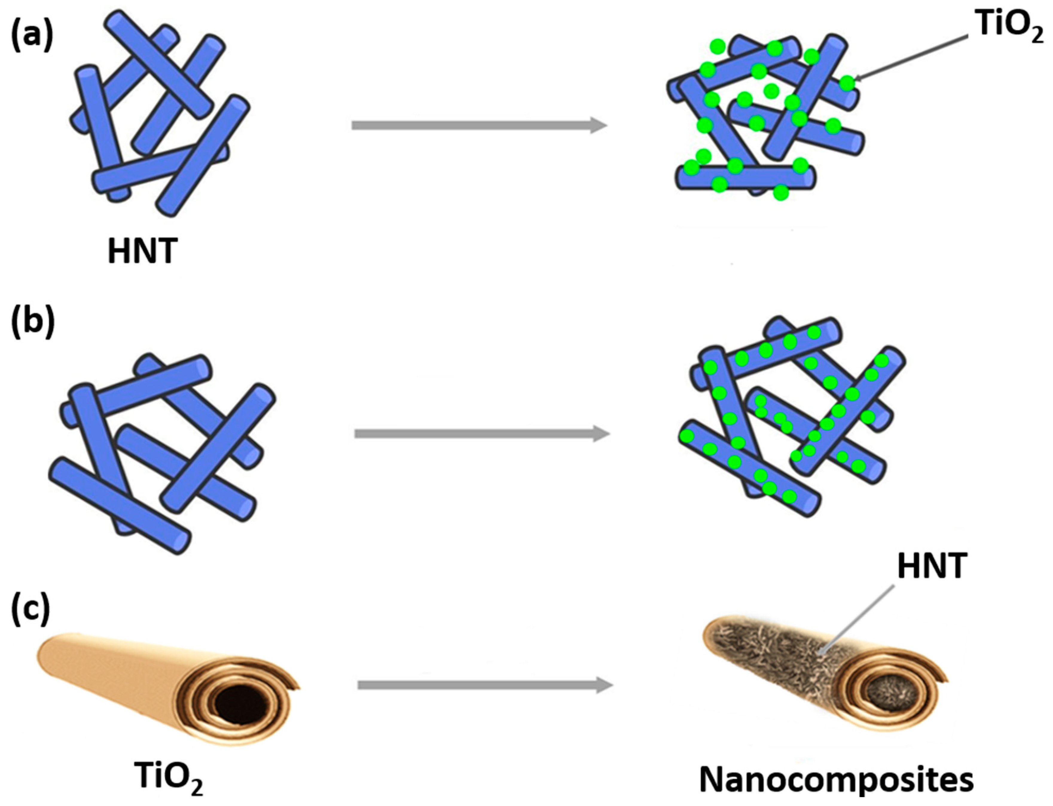 Nanomaterials 13 01578 g010 Nanomaterials 13 01578 g010