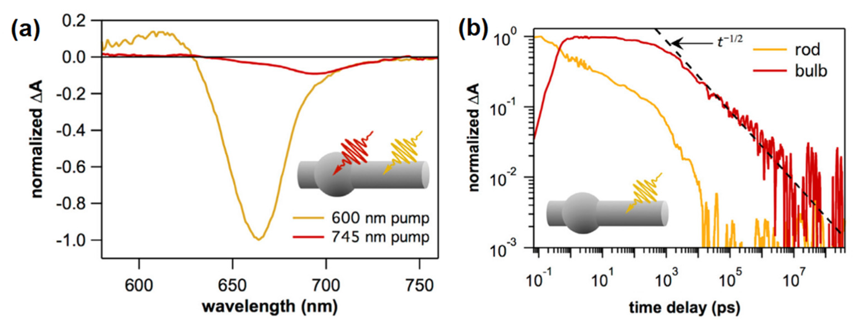 Nanomaterials 13 01579 g003 Nanomaterials 13 01579 g003
