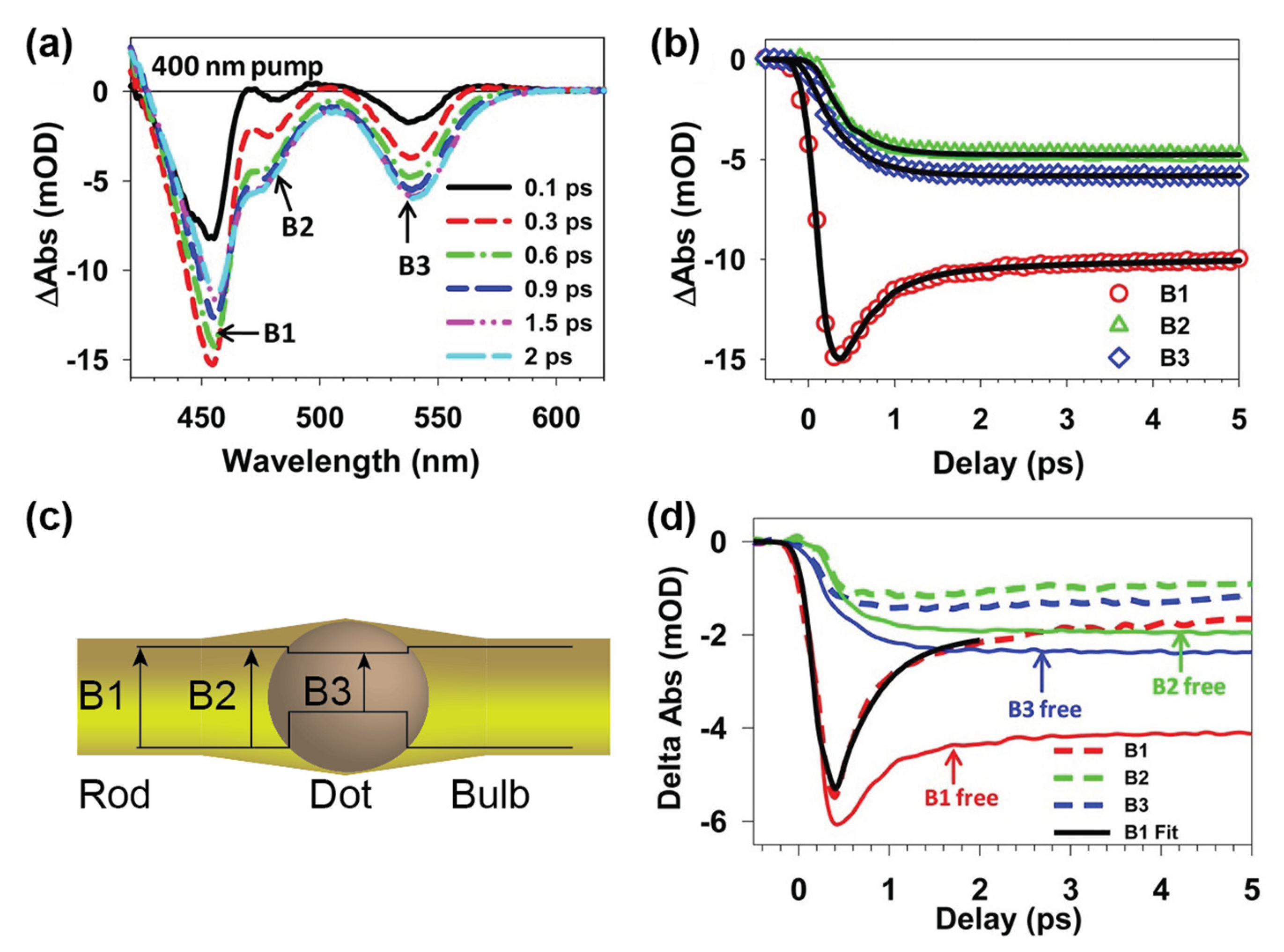 Nanomaterials 13 01579 g004 Nanomaterials 13 01579 g004