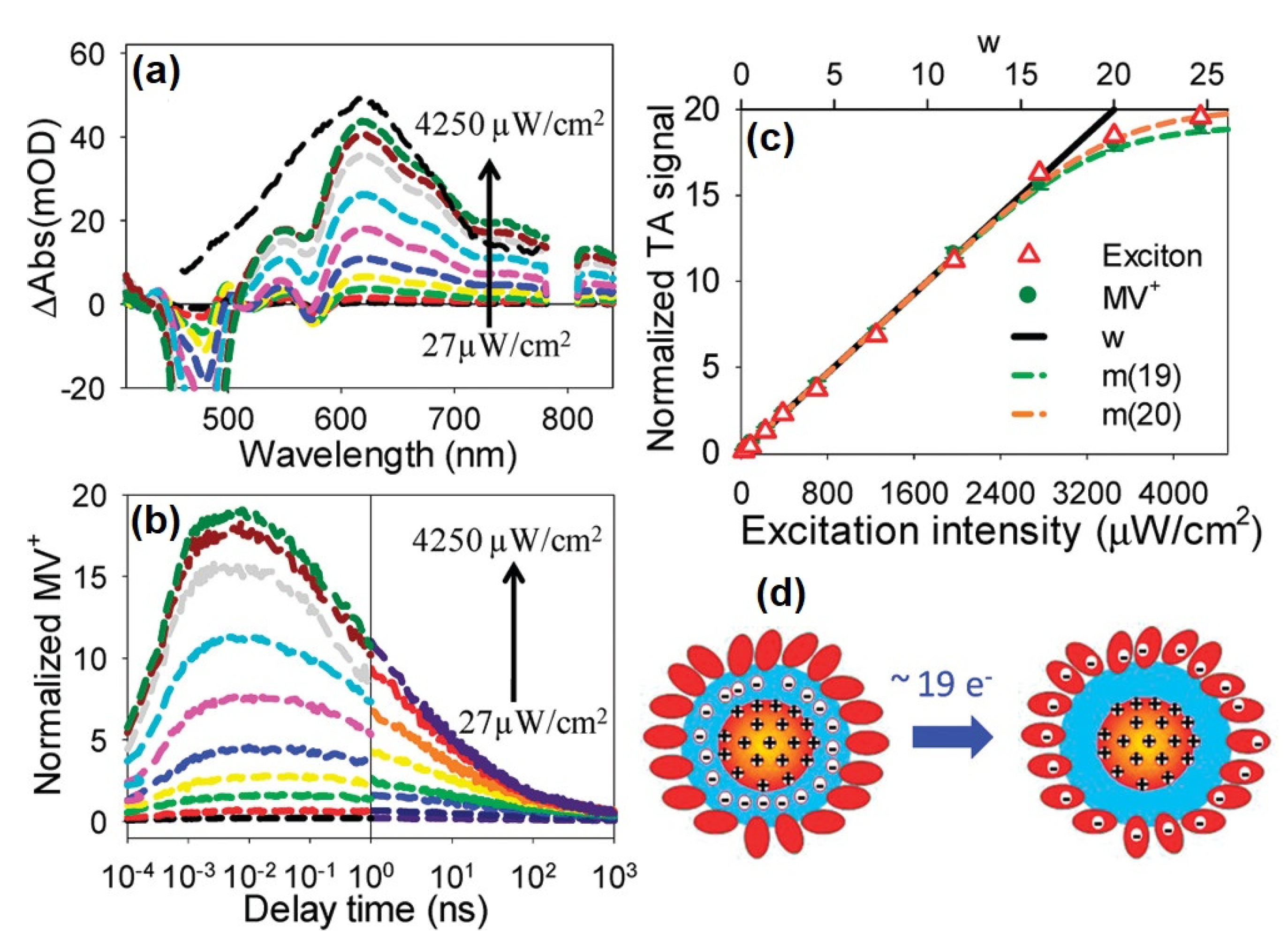 Nanomaterials 13 01579 g008 Nanomaterials 13 01579 g008