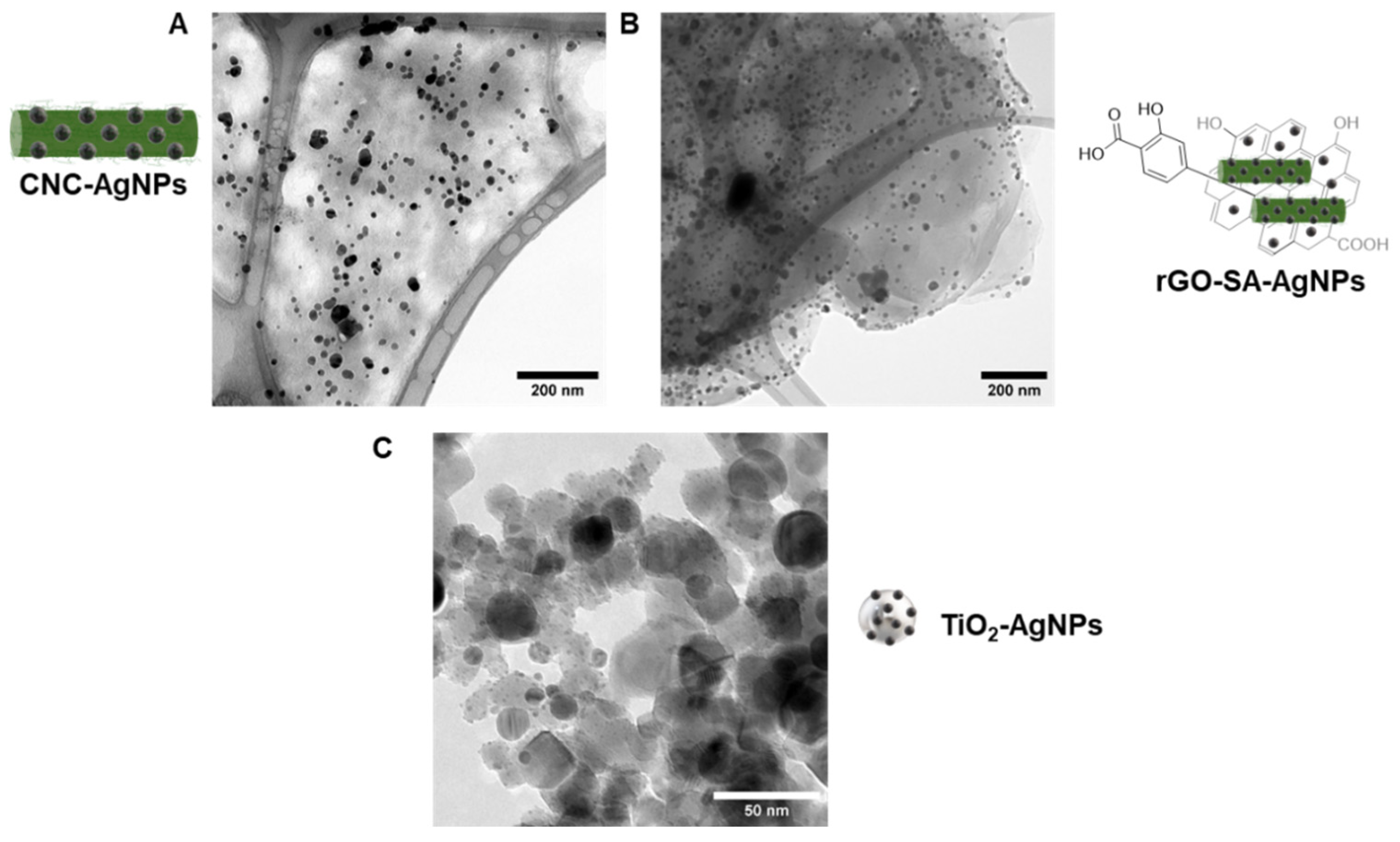 Nanomaterials 13 01585 g003 Nanomaterials 13 01585 g003