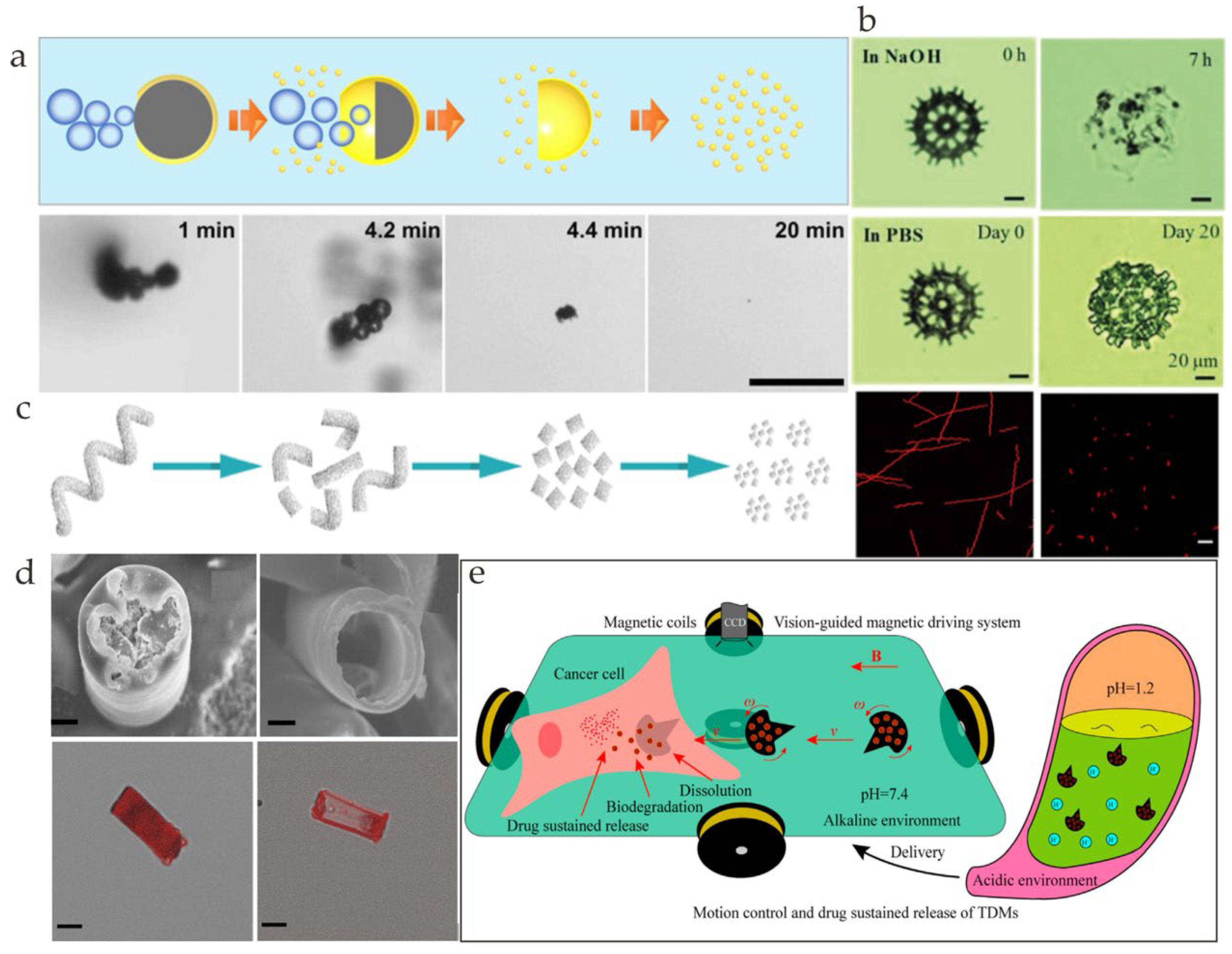 Nanomaterials 13 01590 g004