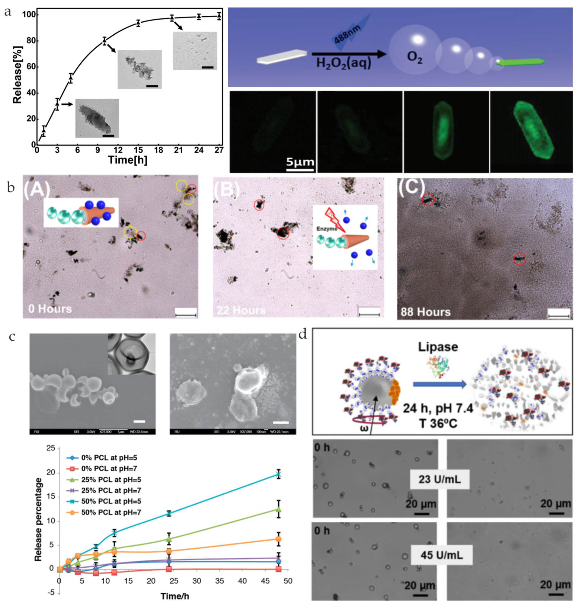 Nanomaterials 13 01590 g006