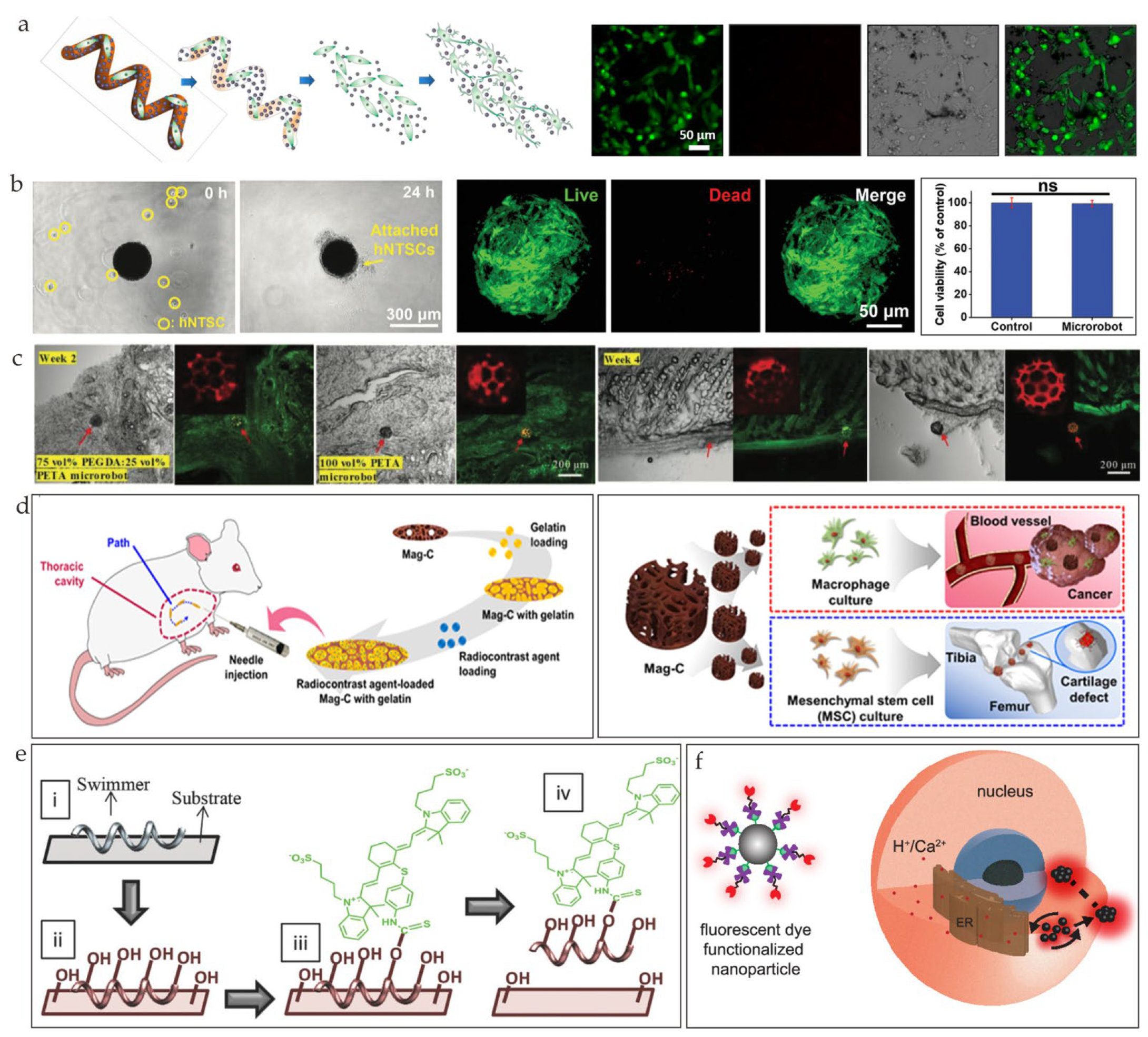 Nanomaterials 13 01590 g008