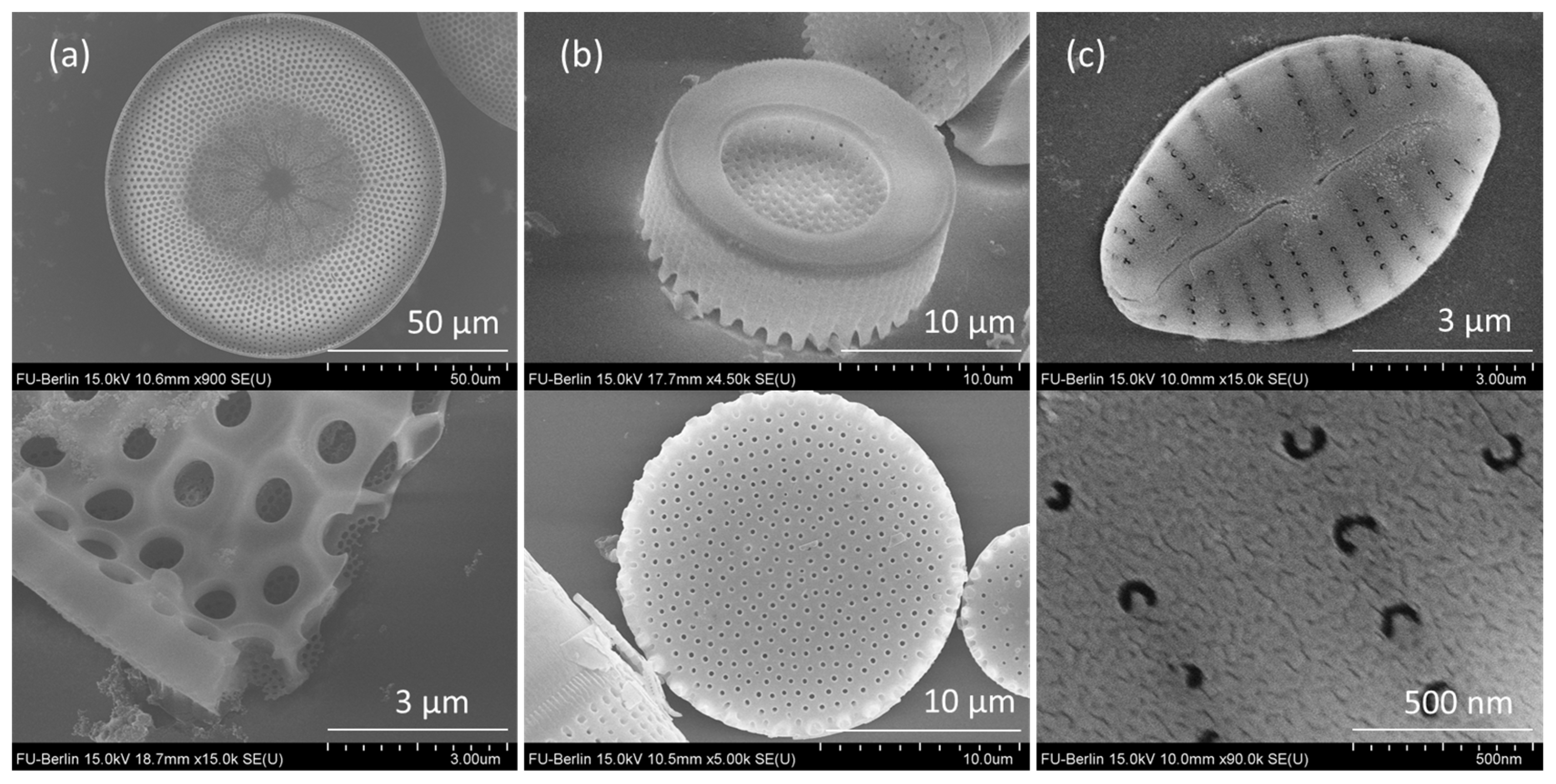 Nanomaterials 13 01594 g001