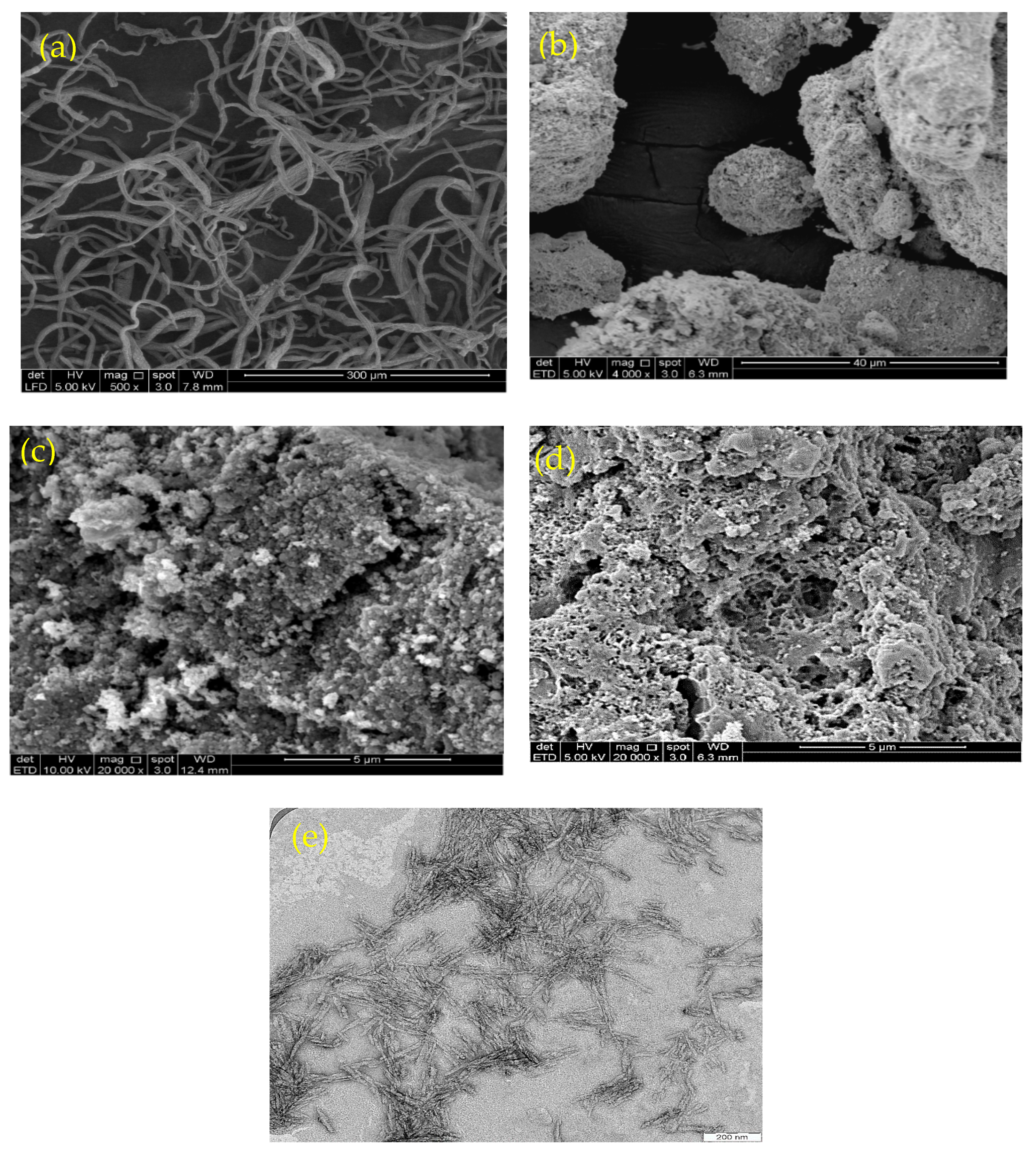 Nanomaterials 13 01595 g001 Nanomaterials 13 01595 g001
