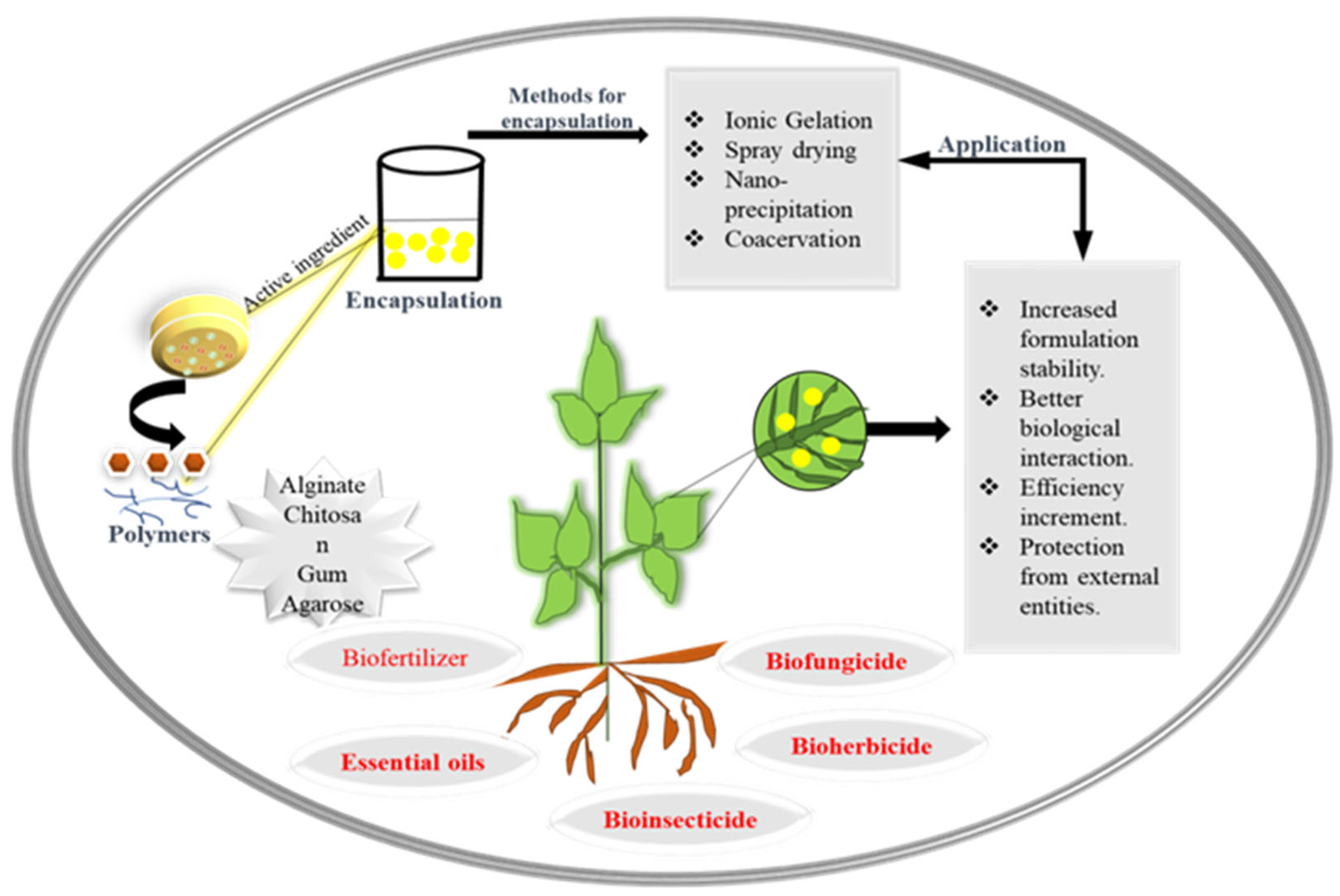 Nanomaterials 13 01604 g002 Nanomaterials 13 01604 g002