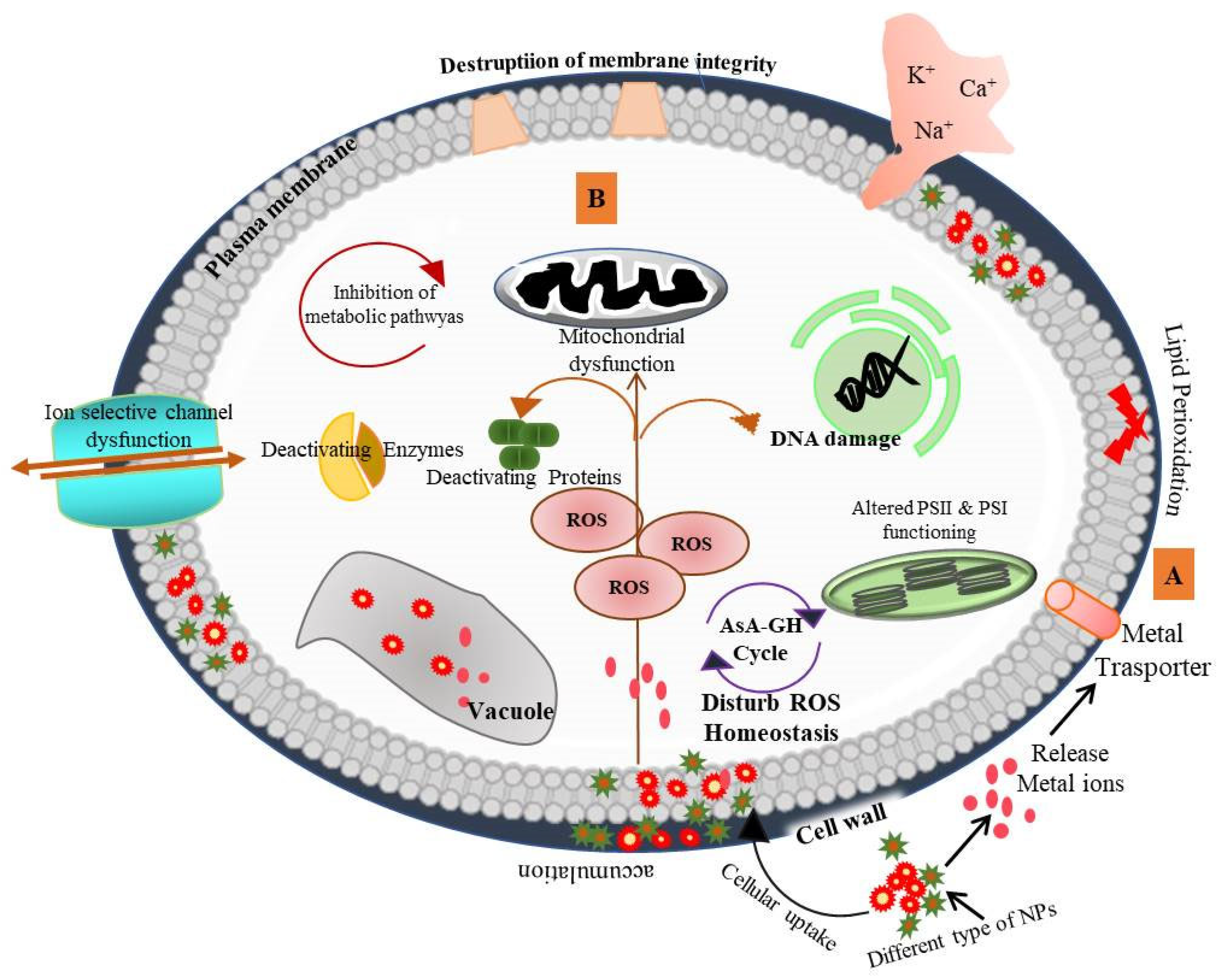 Nanomaterials 13 01604 g003 Nanomaterials 13 01604 g003
