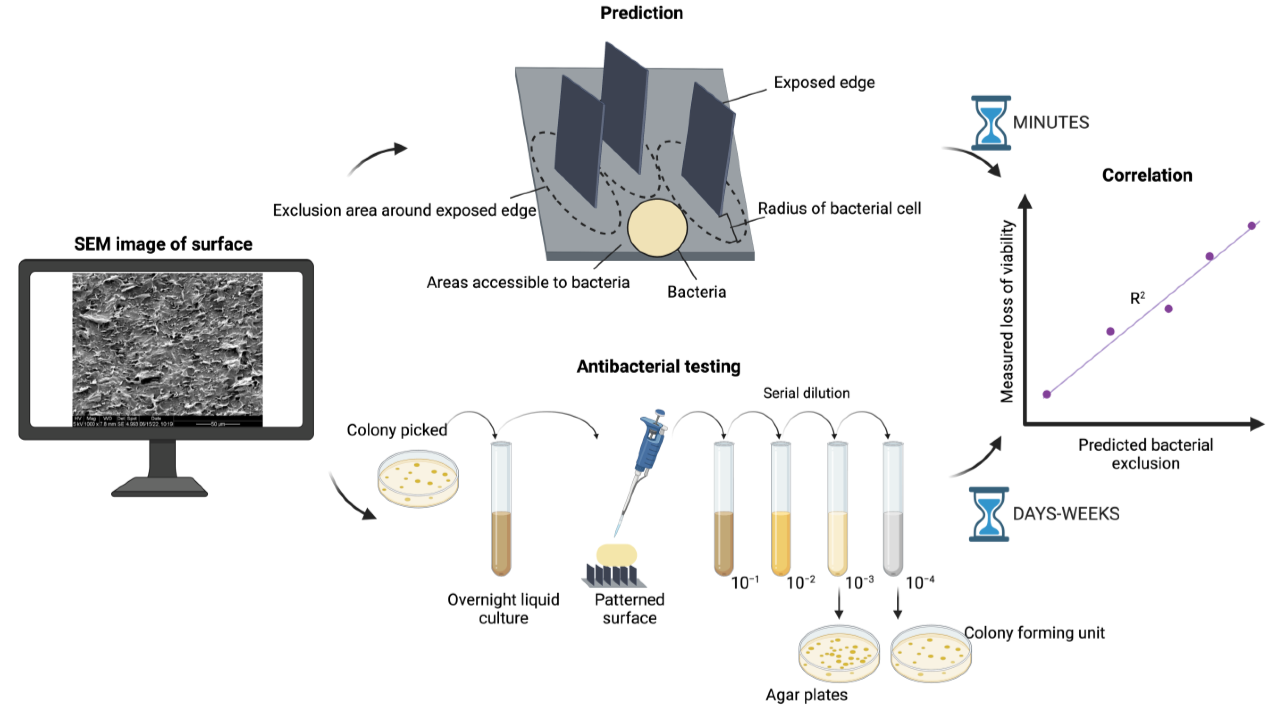 Nanomaterials 13 01605 g001